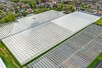 Venlo greenhouse 8,00m 17.100 m²