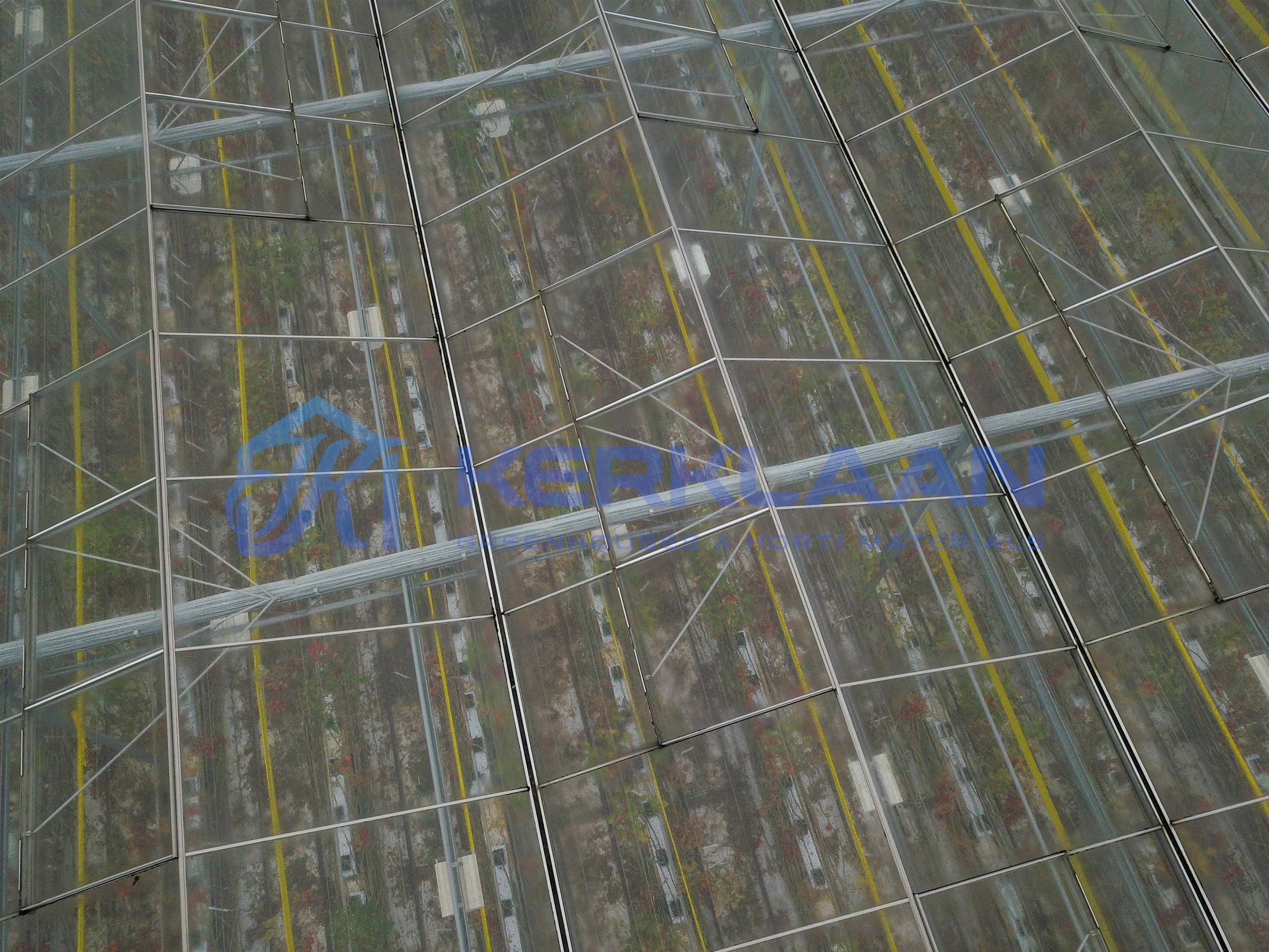 Venlo greenhouse 8,00 m 50.400 m²