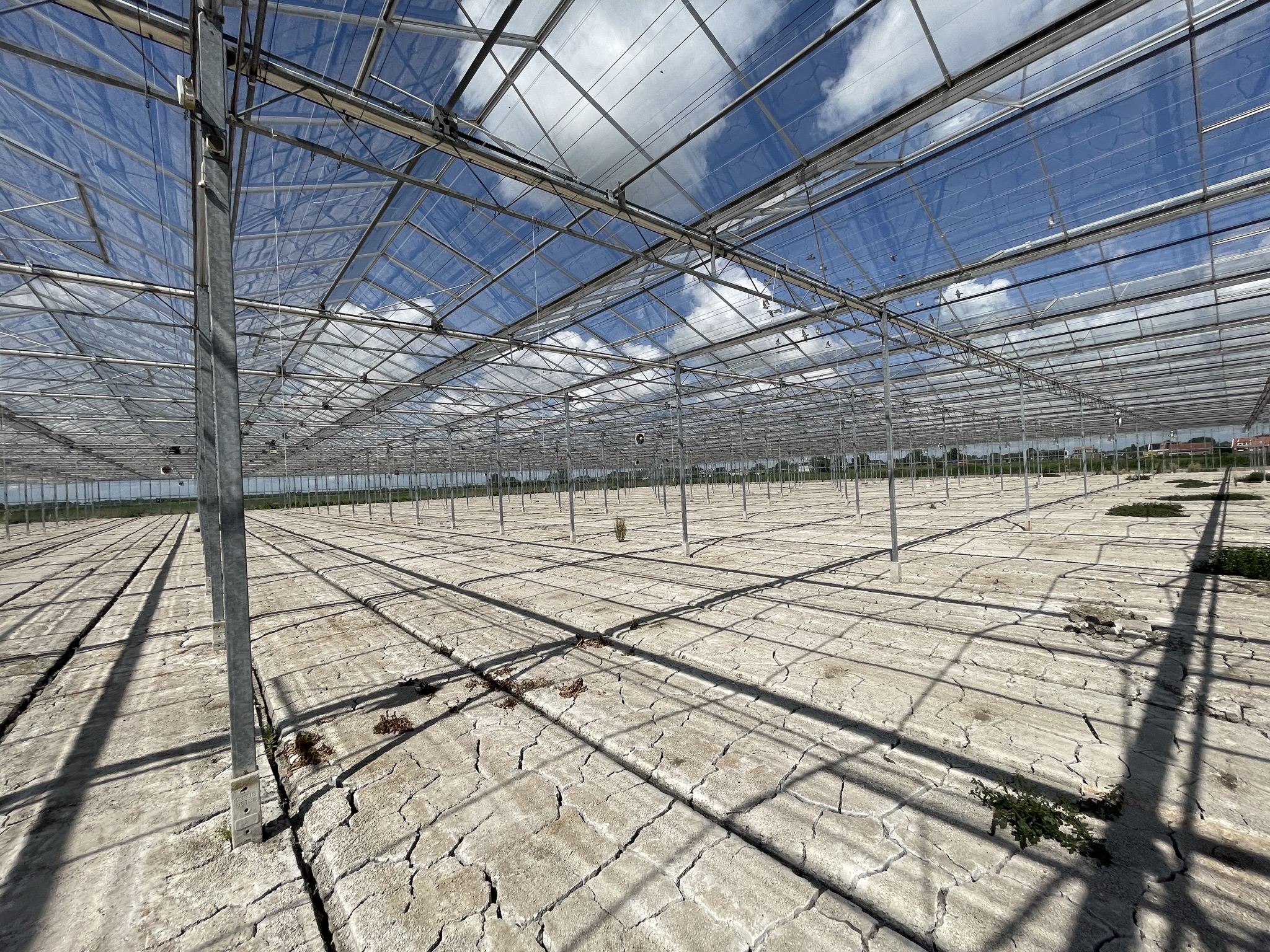 Venlo greenhouse 8,00 m 19.920 m²