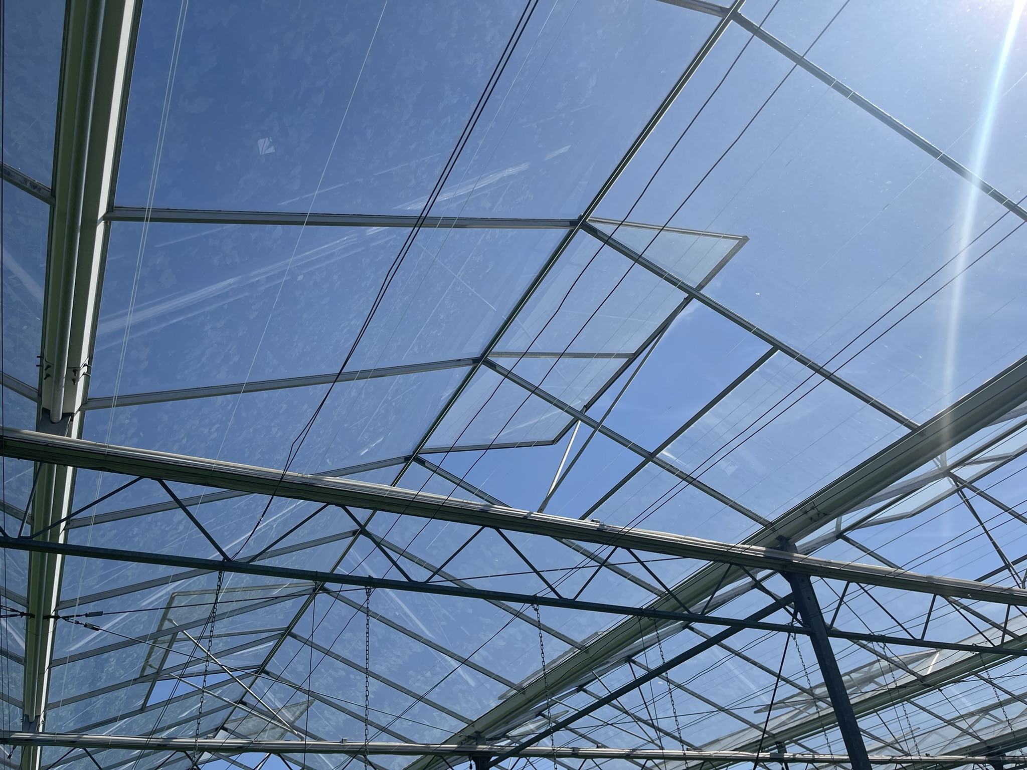 Venlo greenhouse 8,00 m 25.922 m²