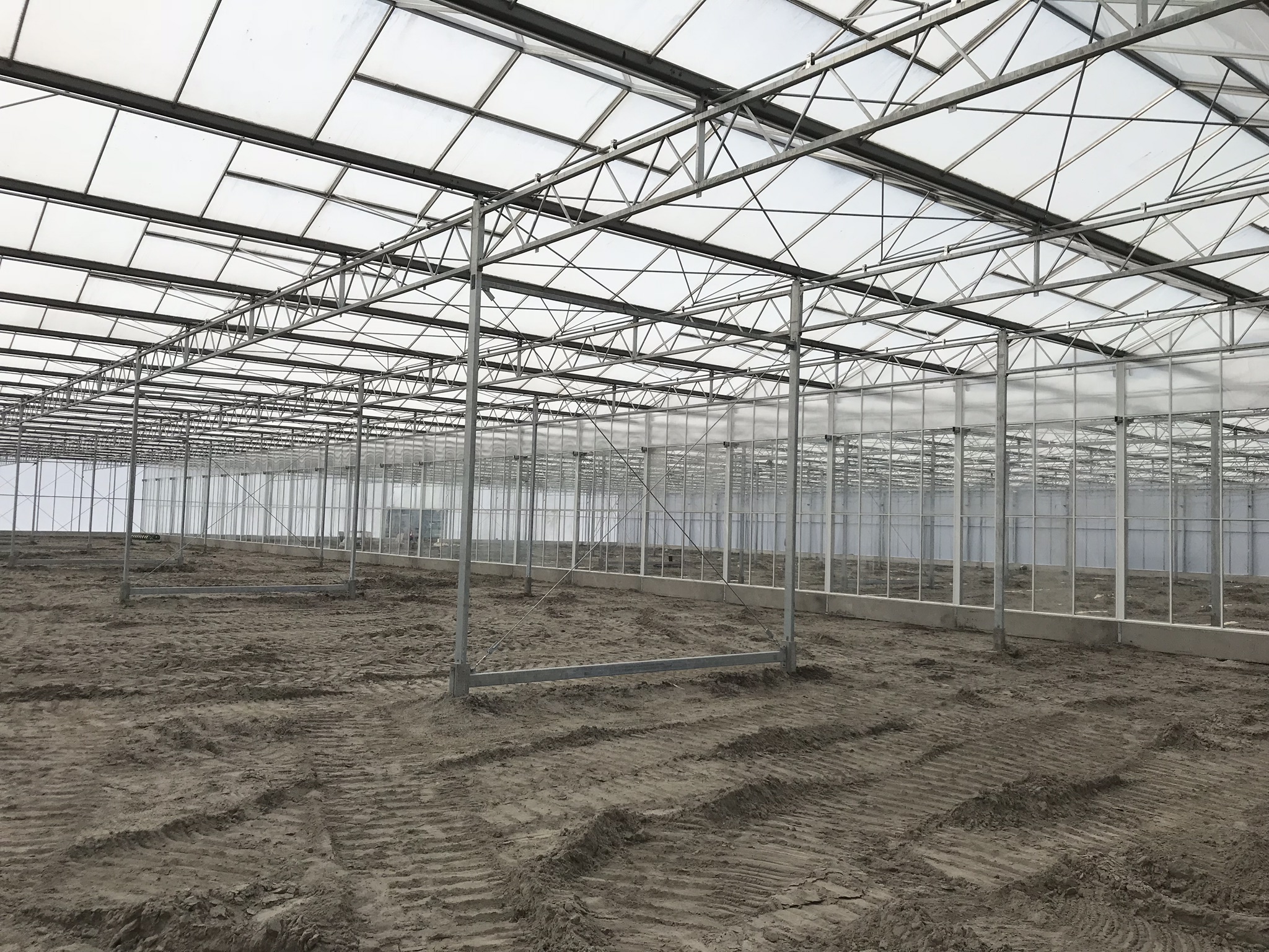 Venlo greenhouse 12,80 m 7.770 m²