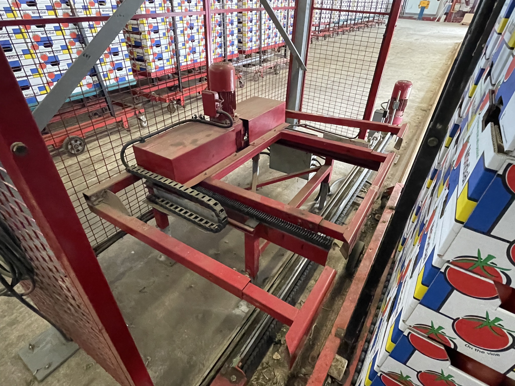 Complete Taks TTS vine tomato processing system + palletizing installation