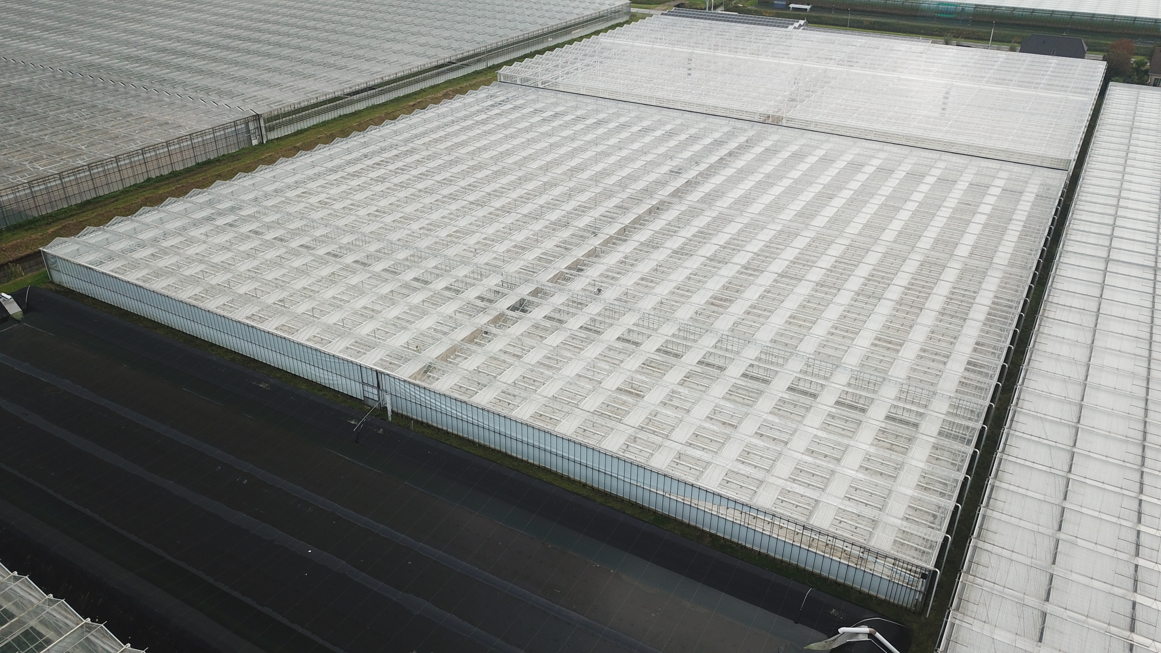 Venlo greenhouse 8,00 m 9.936 m²