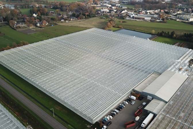 Venlo greenhouse 8,00 m 36.543 m²