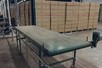 Collection conveyor 3550 mm