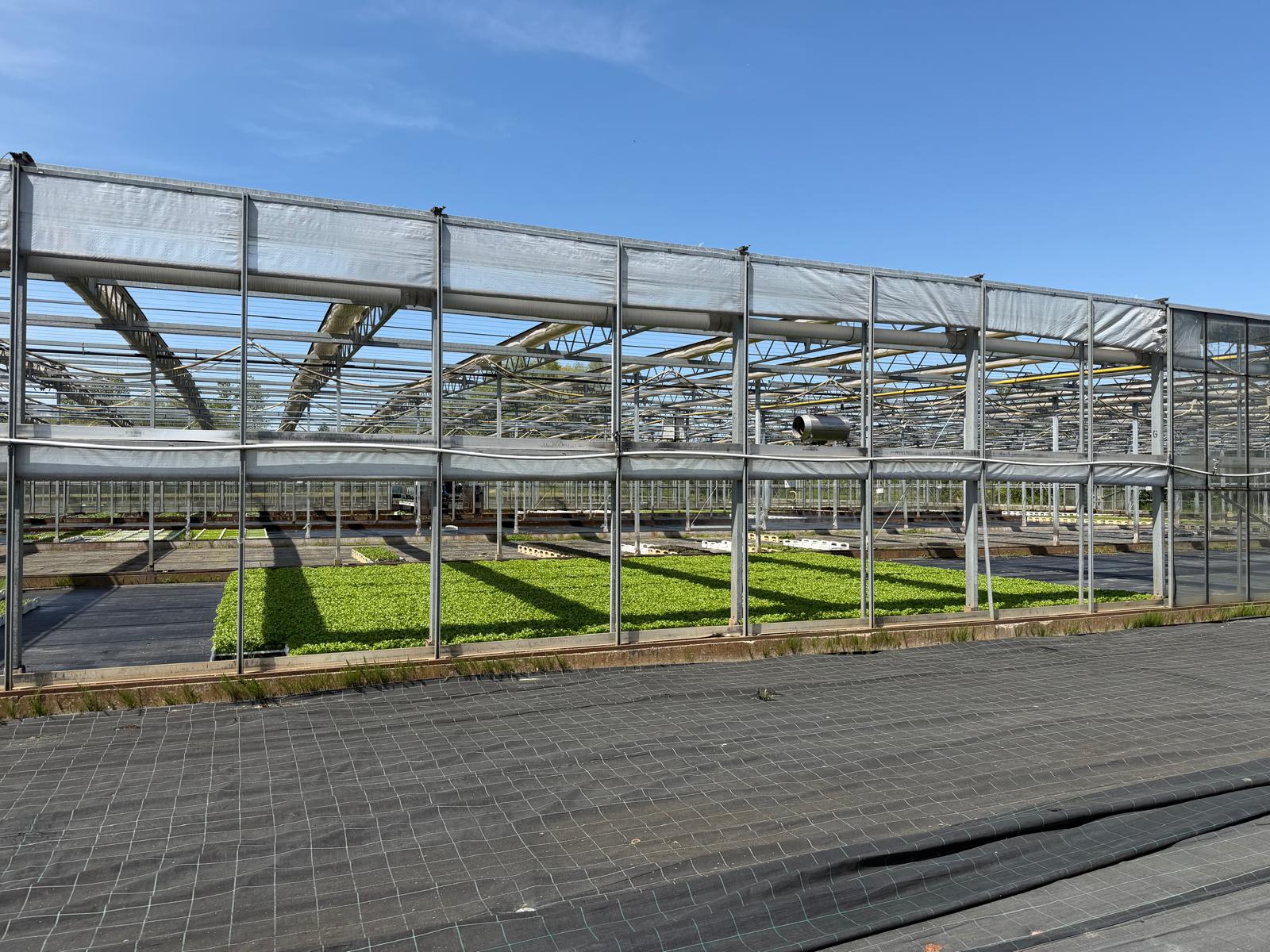 Shading greenhouse 7.517 m²