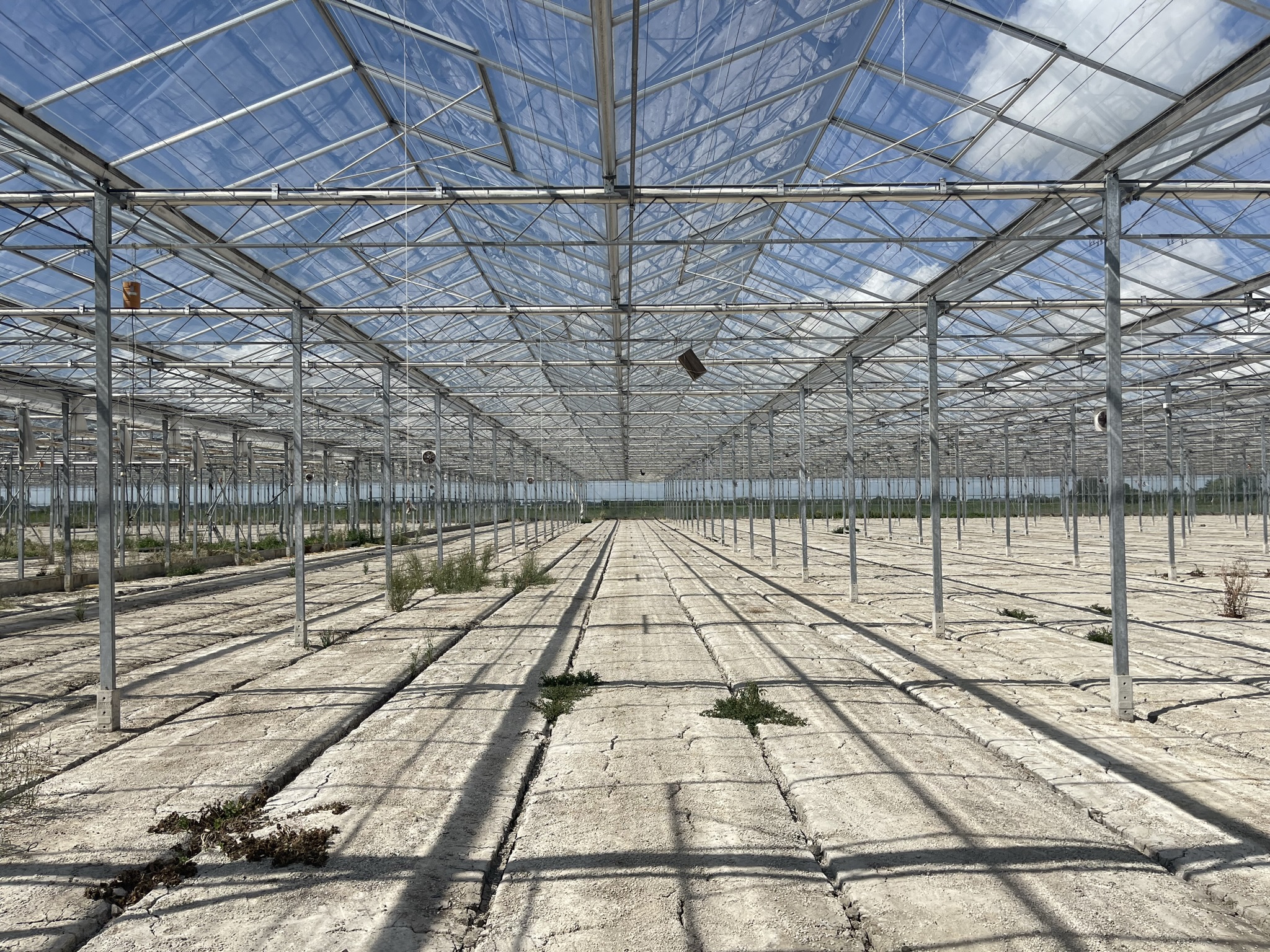 Venlo greenhouse 8,00 m 19.920 m²