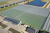 Venlo greenhouse 6,40m 11.251 m²