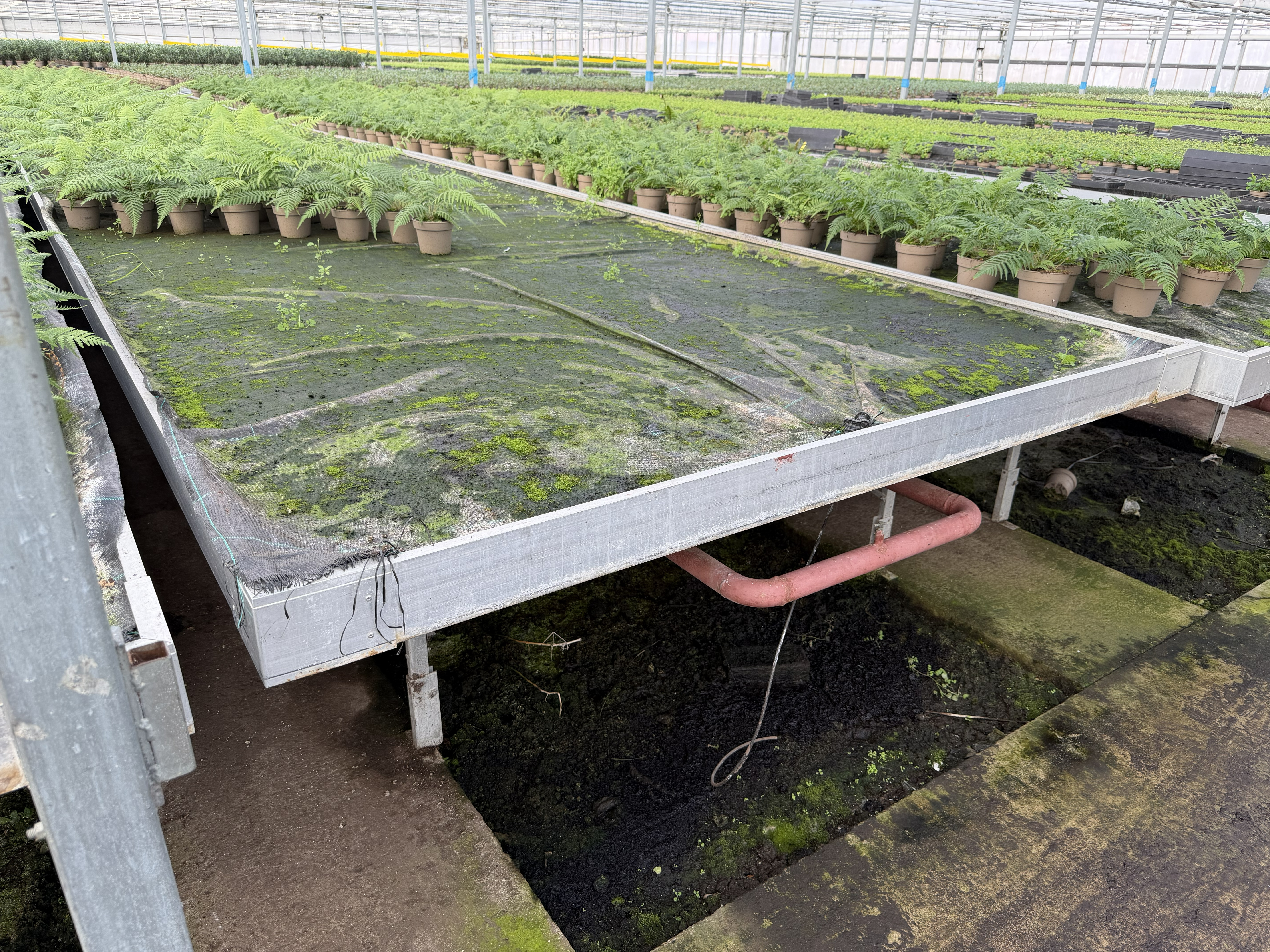 Aluminium rolling tables with ebb and flow bottoms