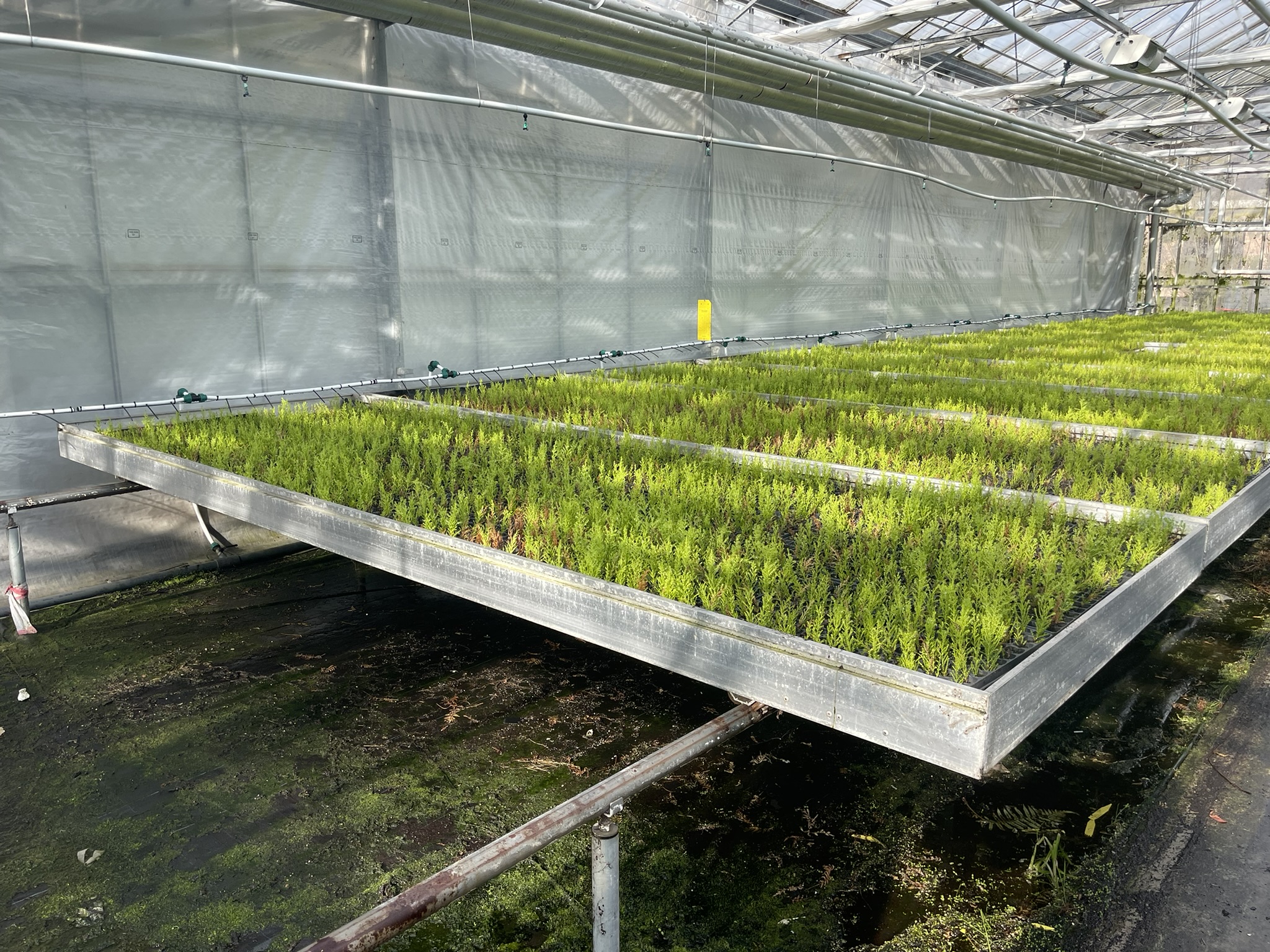 Aluminium rolcontainers met eb- en vloed bodem