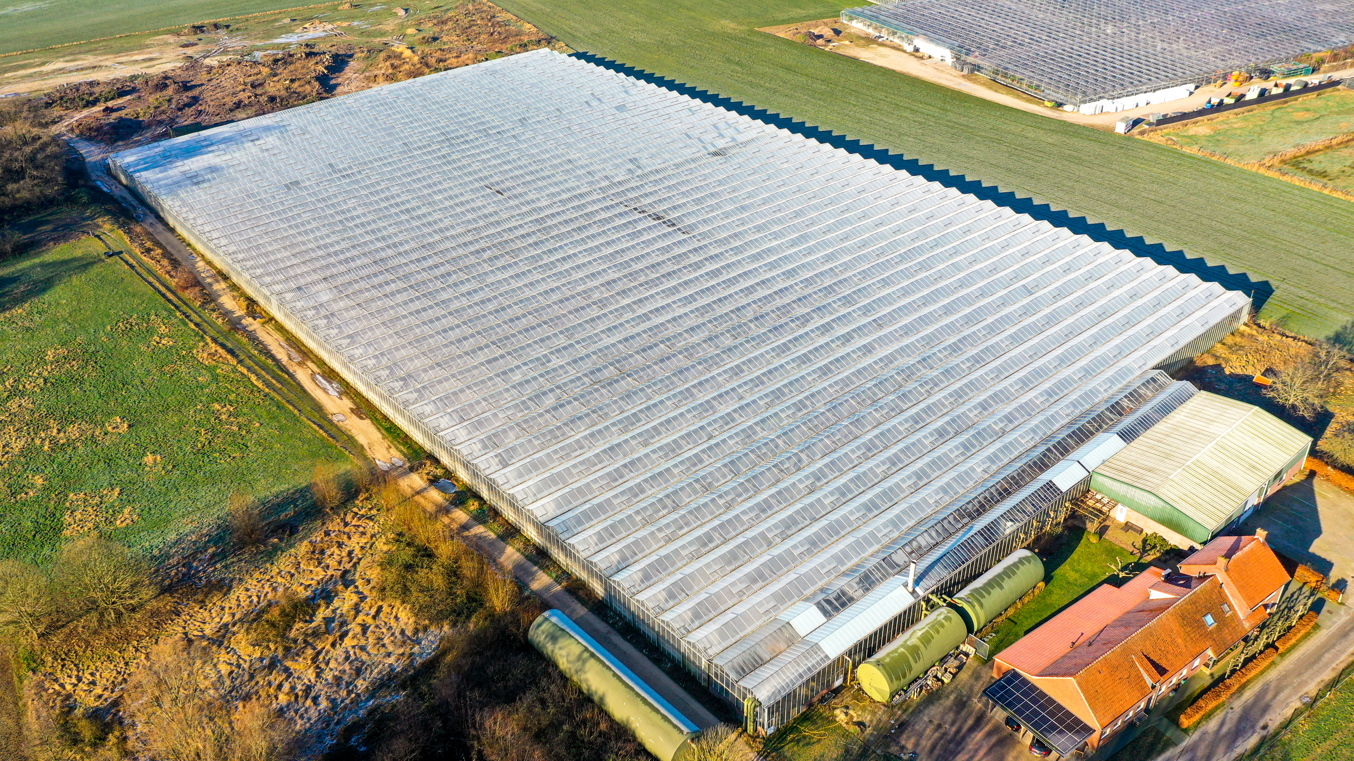 Venlo kas 8,00 m 22.248 m²