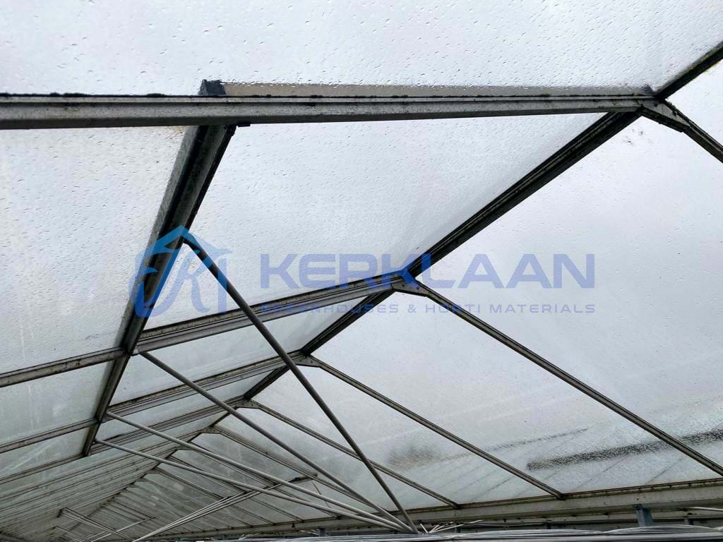 Venlo greenhouse 8,00 m 50.400 m²