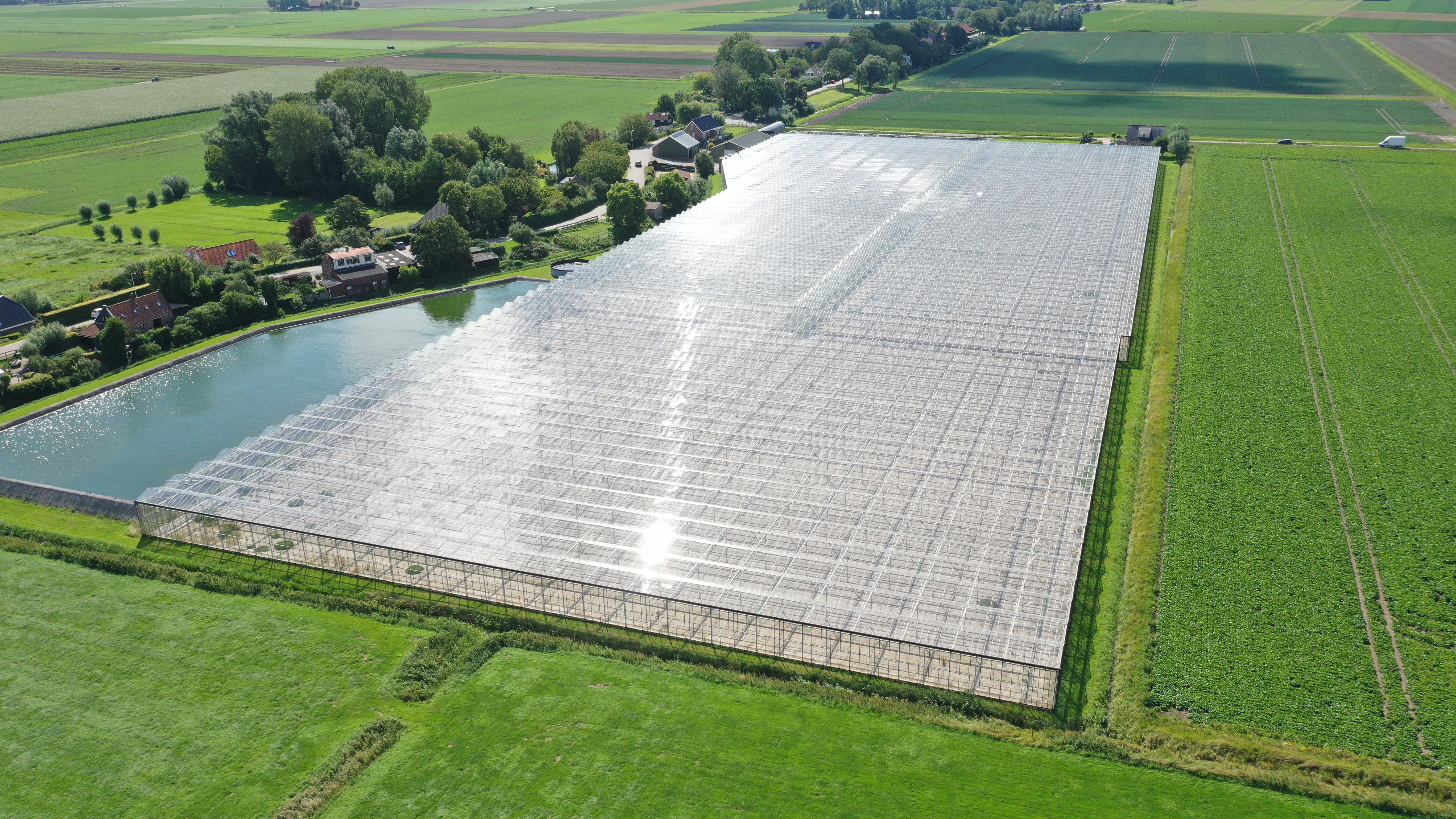 Venlo greenhouse 8,00 m 19.920 m²