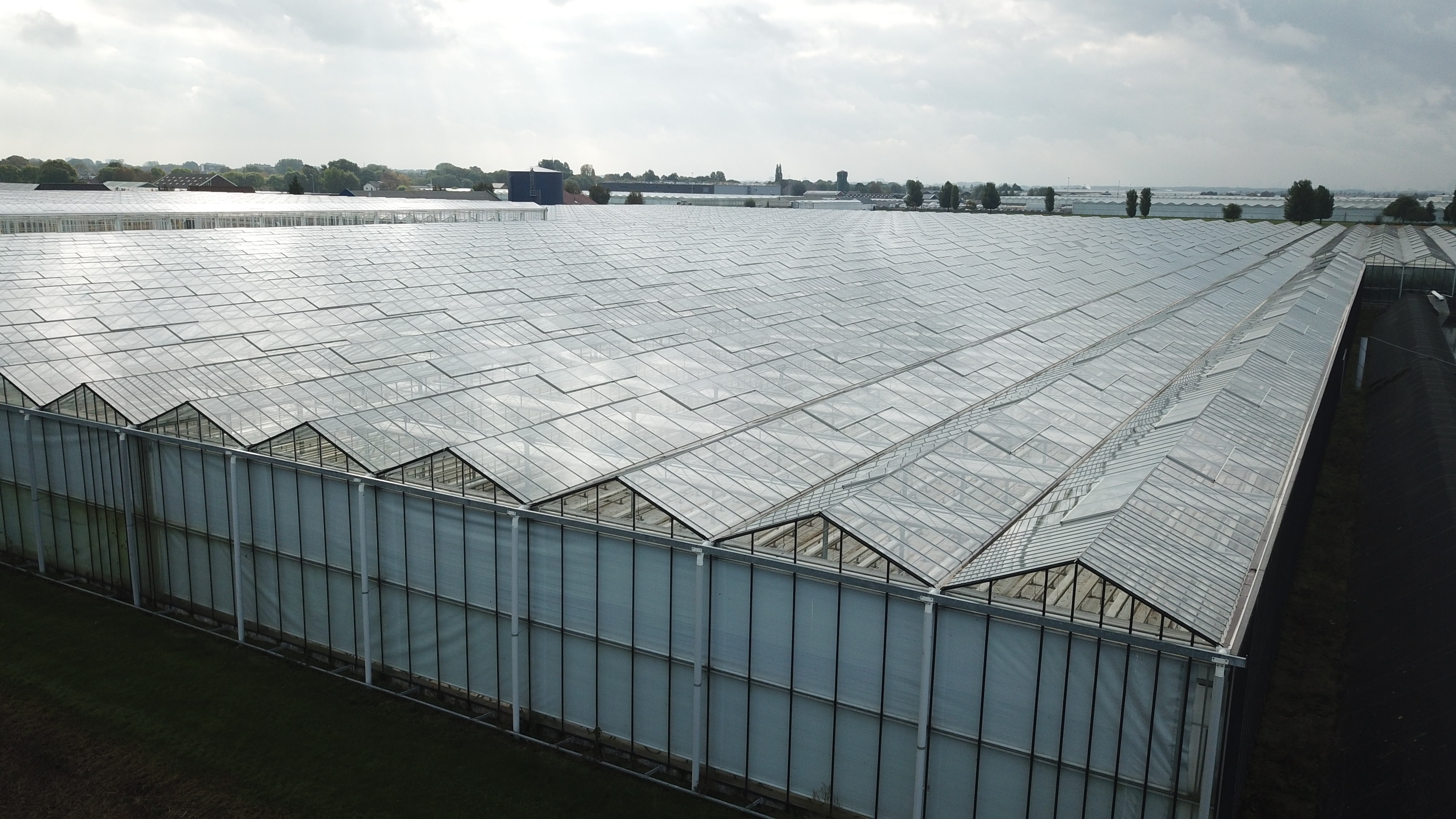 Venlo greenhouse 8,00 m 9.936 m²