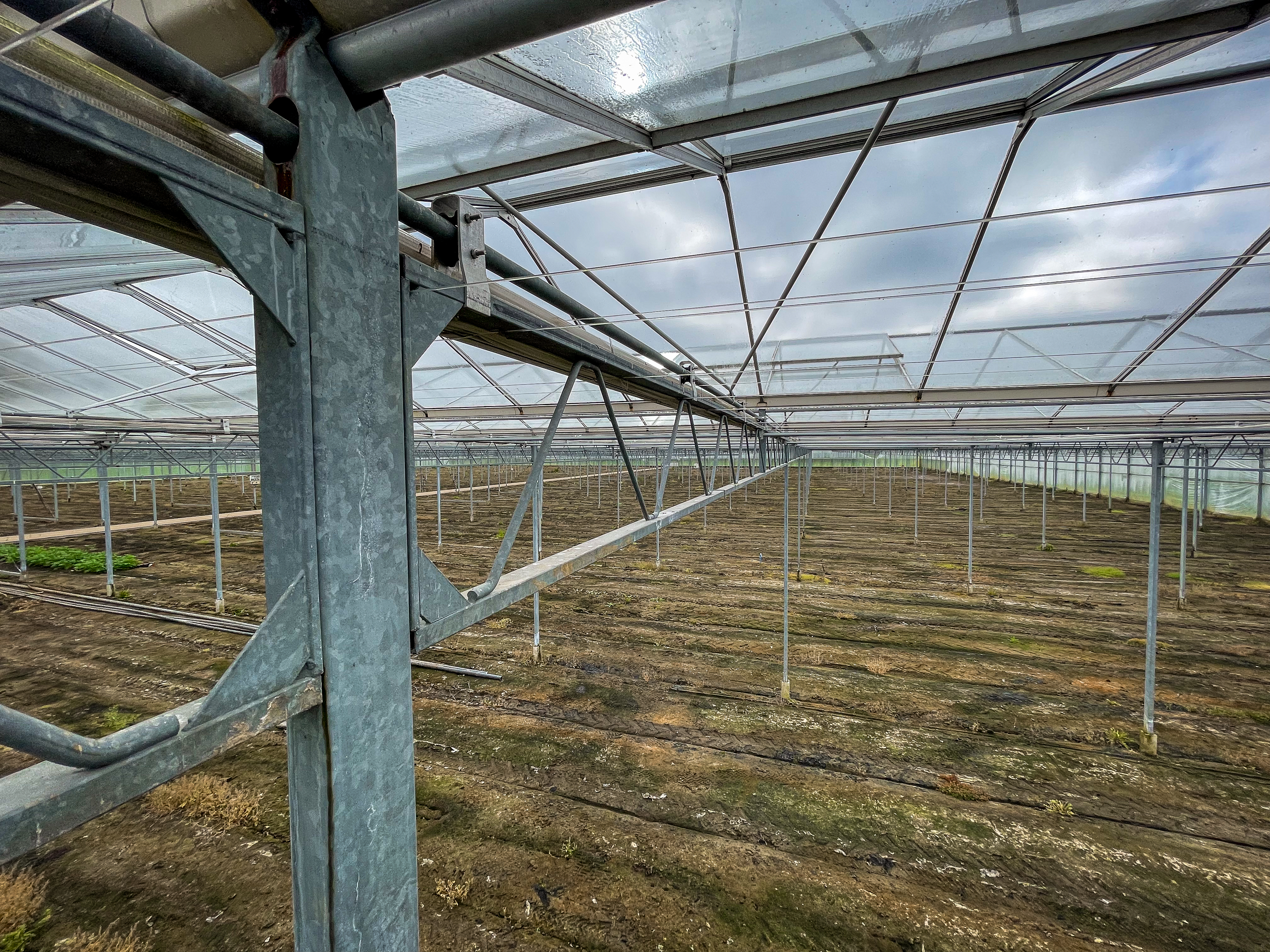 Venlo kas 8,00 m 15.300 m²