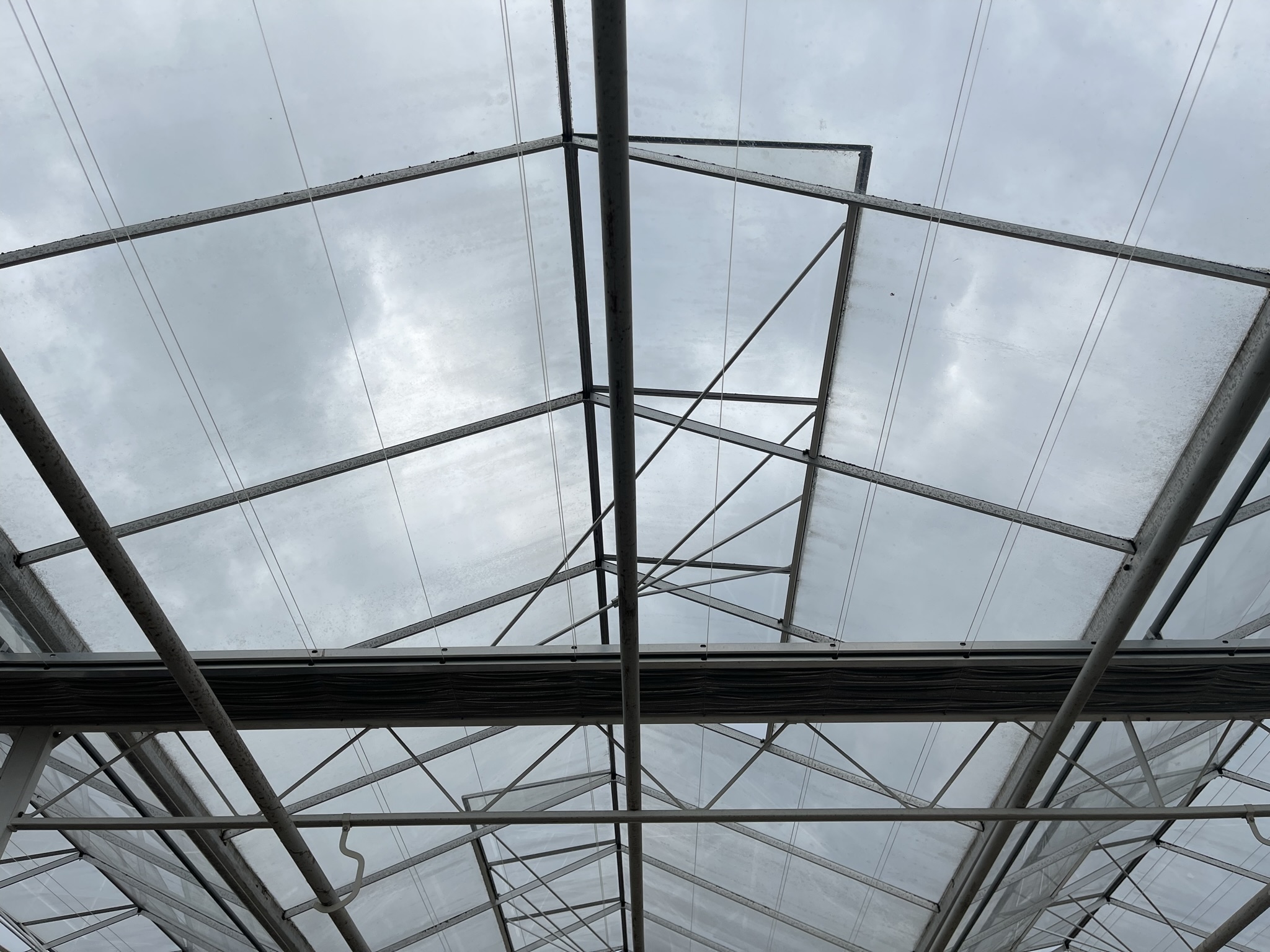 Venlo kas 8,00 m 6.138 m²