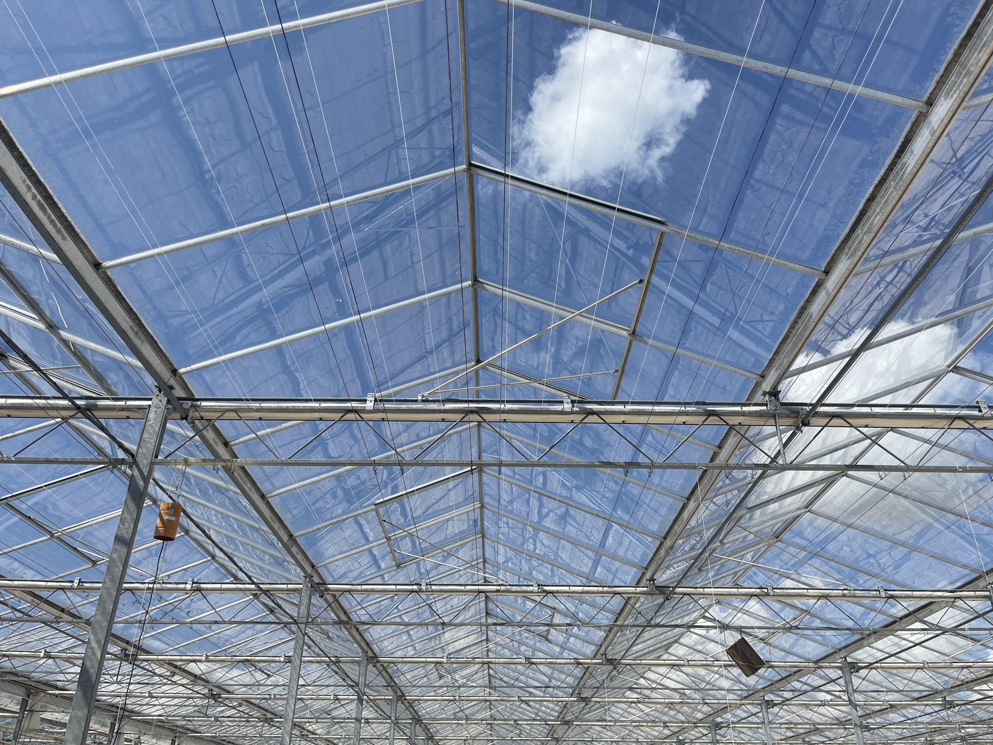 Venlo greenhouse 8,00 m 19.920 m²