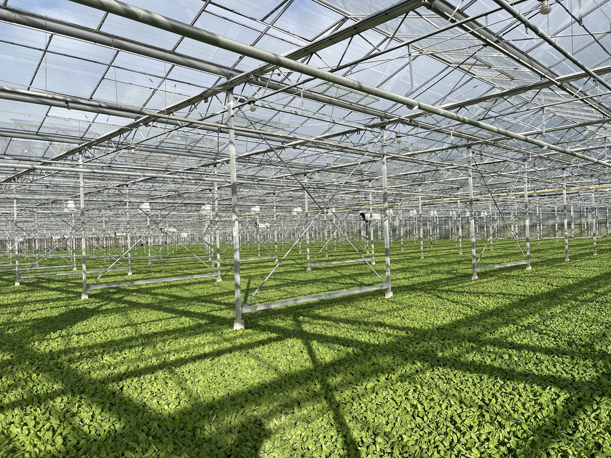 Venlo kas 6,40 m 16.333 m²