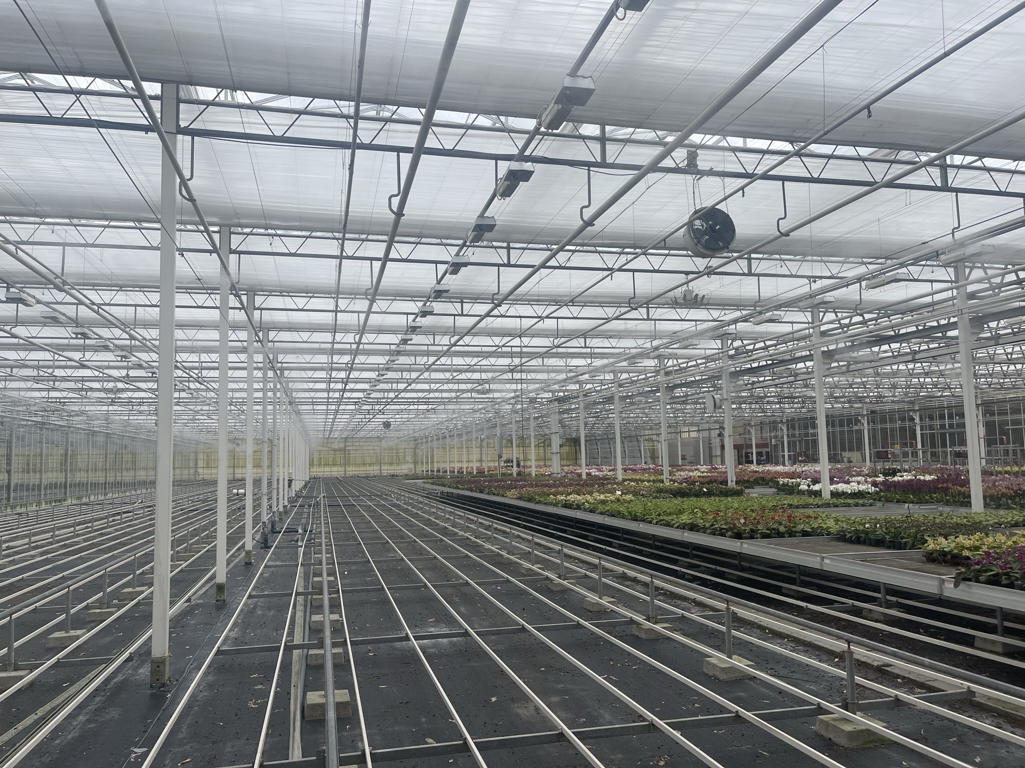 Vifra compleet nevelsysteem