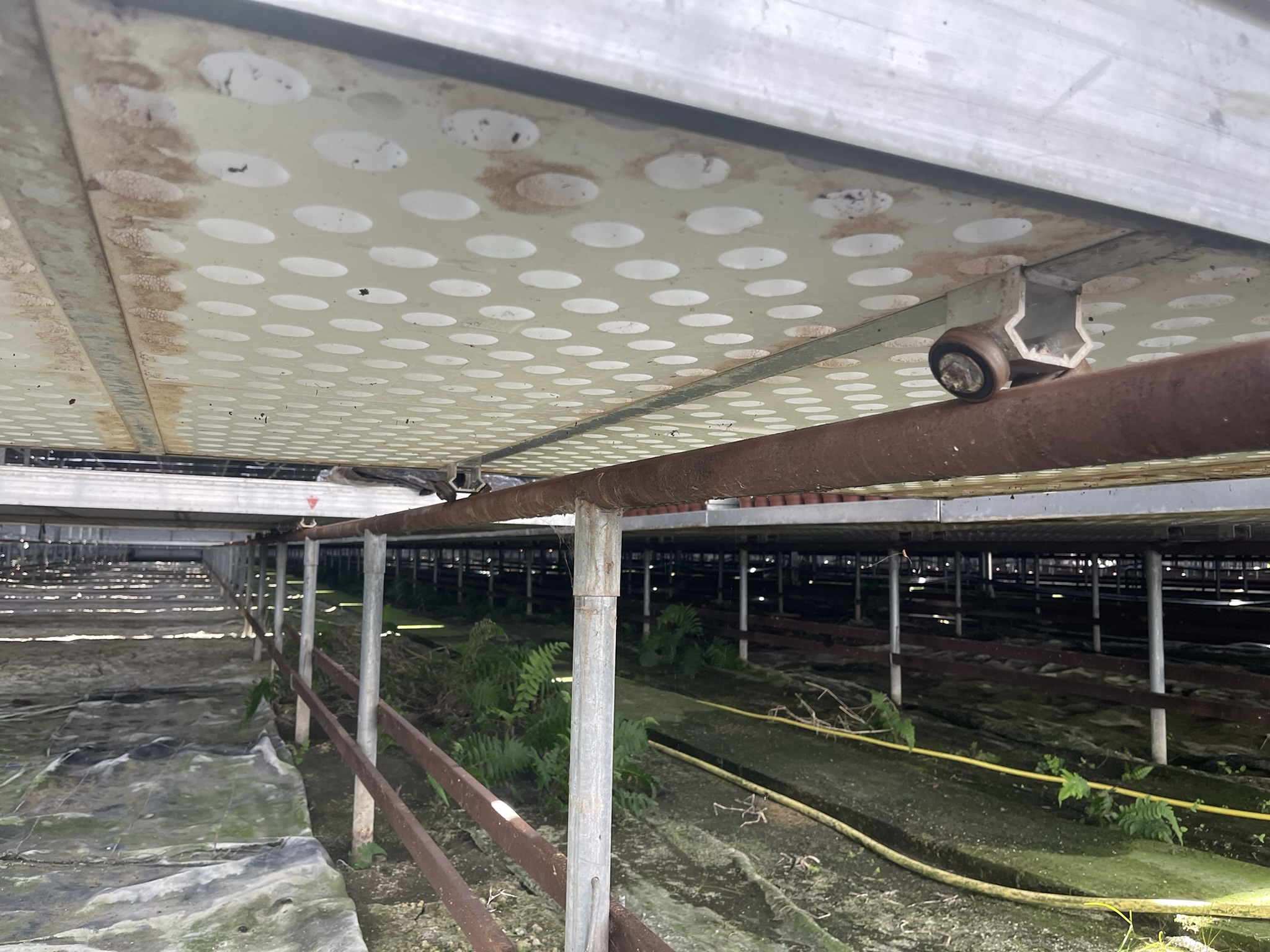 Aluminium rolcontainers incl. tempex bodem en bevloeiingsmat