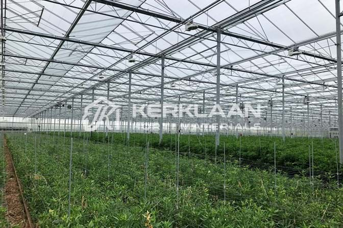 Venlo greenhouse 9,60 m 14.985 m²