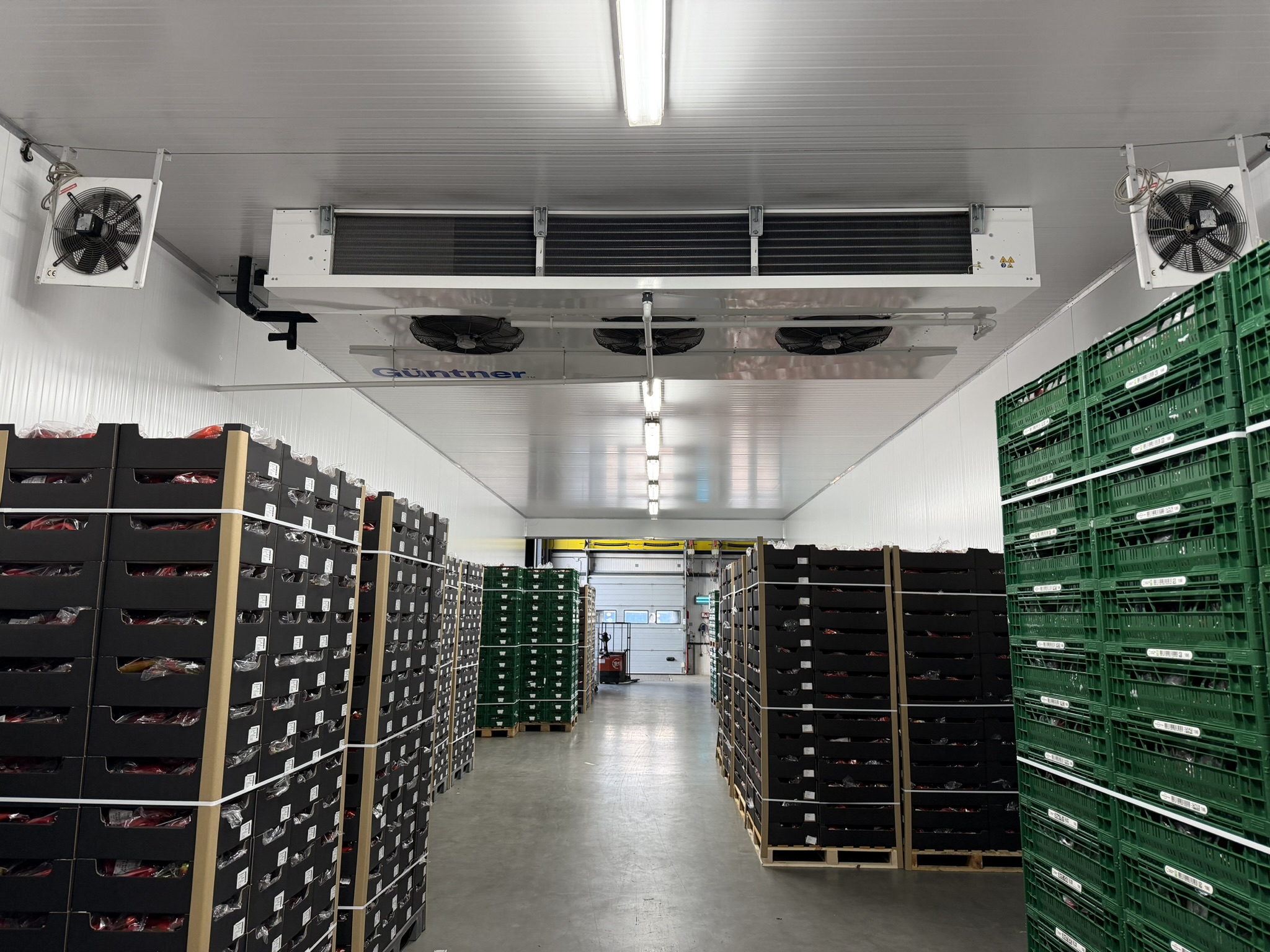 Cooling room 684 m³ / 171 m²