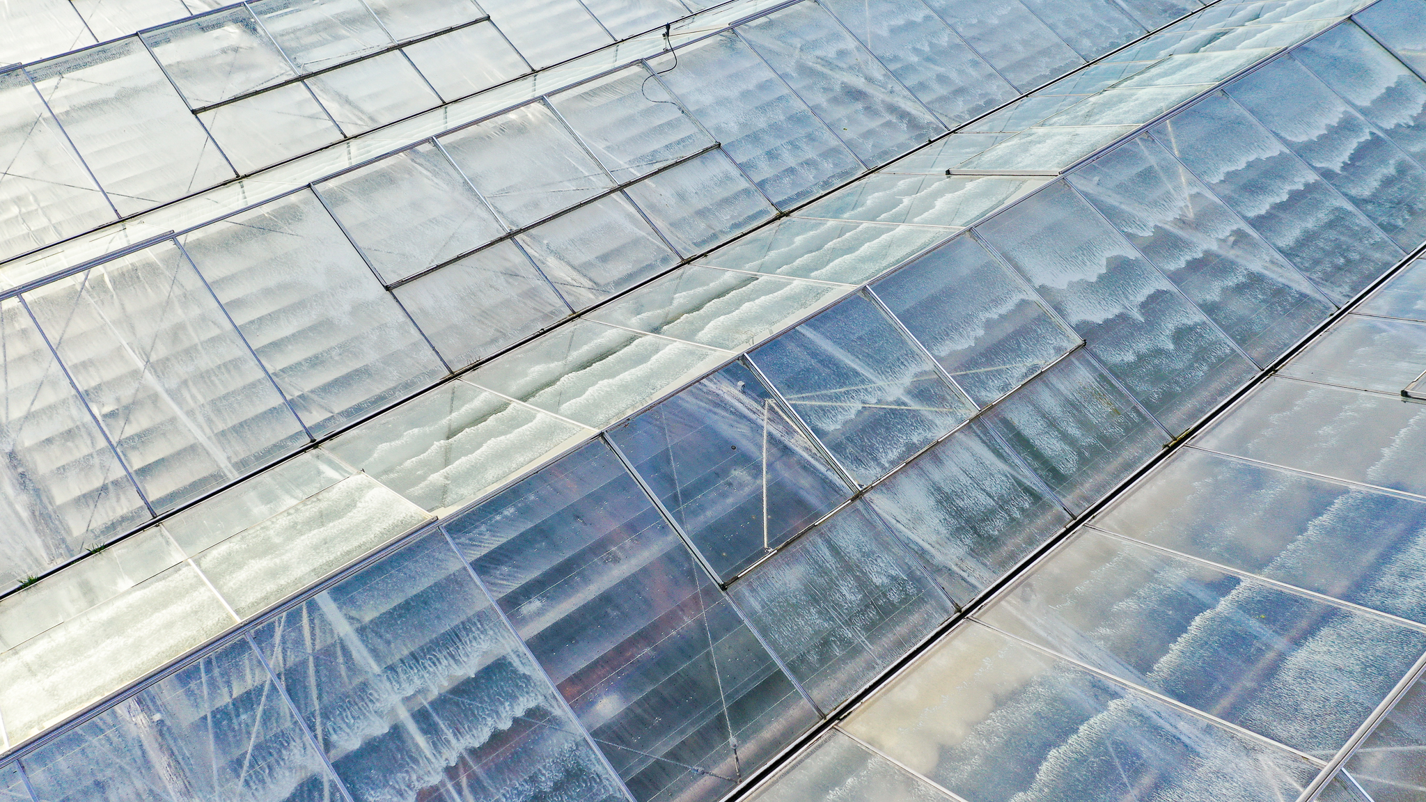 Venlo greenhouse 12,00 m 33.180 m²