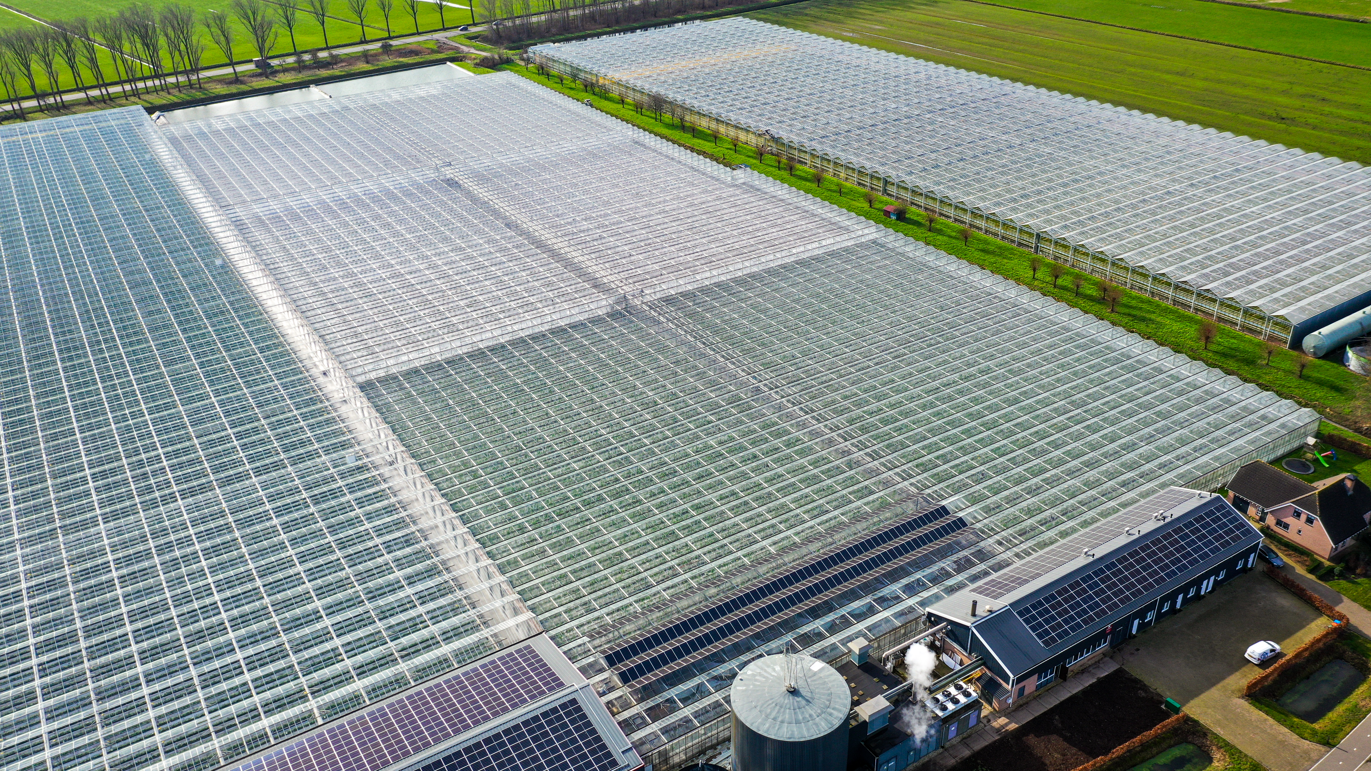 Venlo greenhouse 6.40 m 24.371 m²