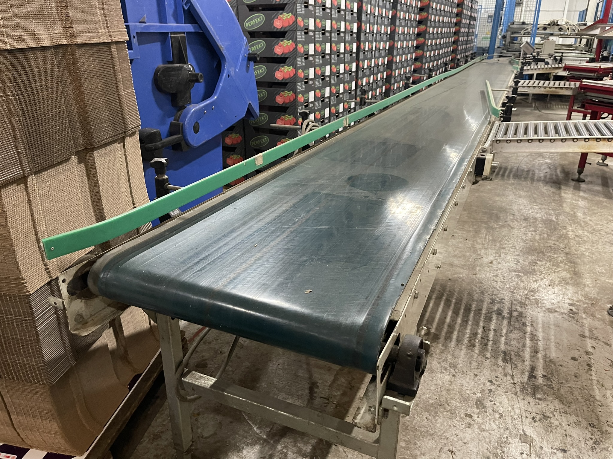 Complete Taks TTS vine tomato processing system