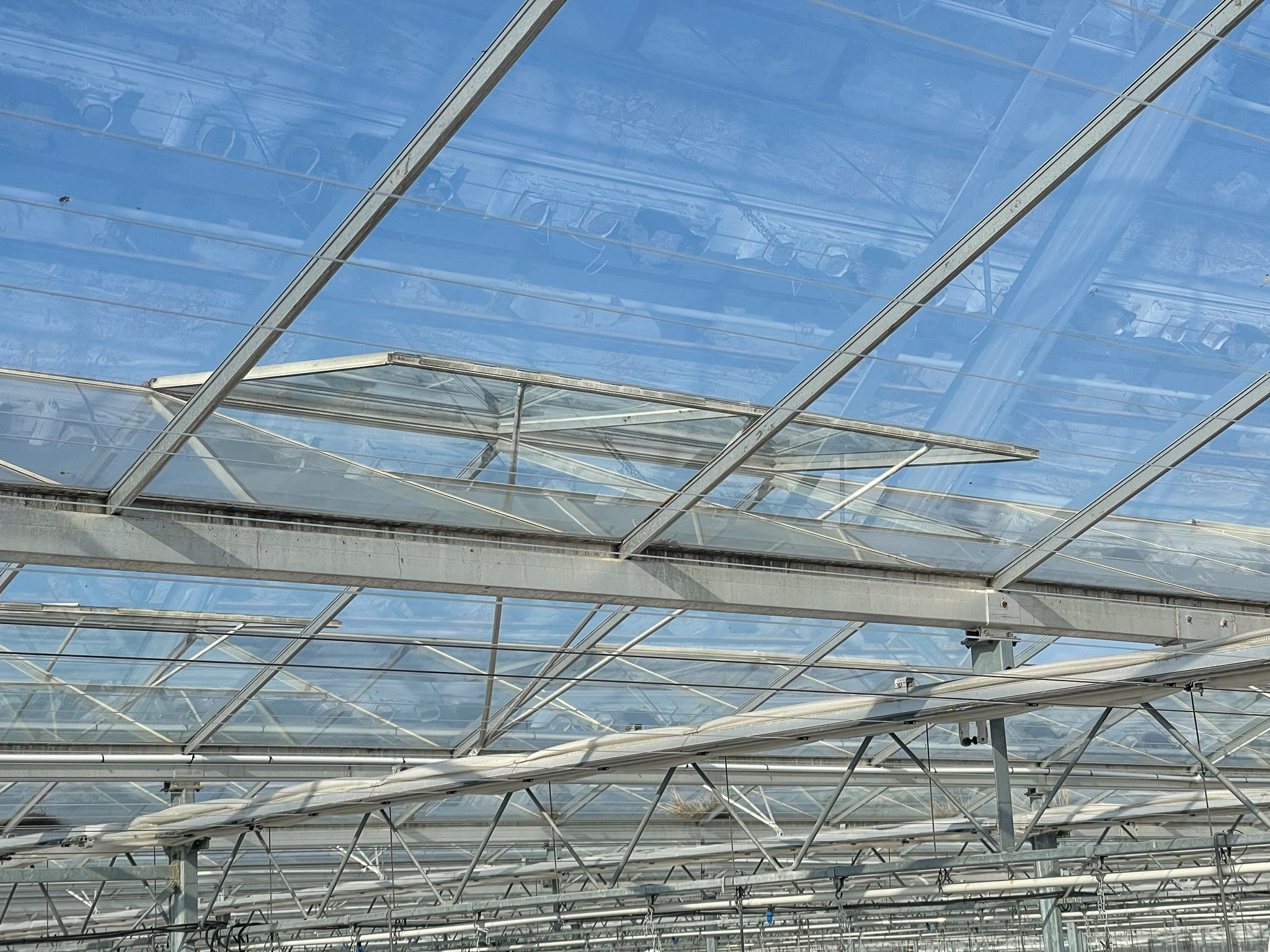 Venlo greenhouse 8,00 m 18.980 m²