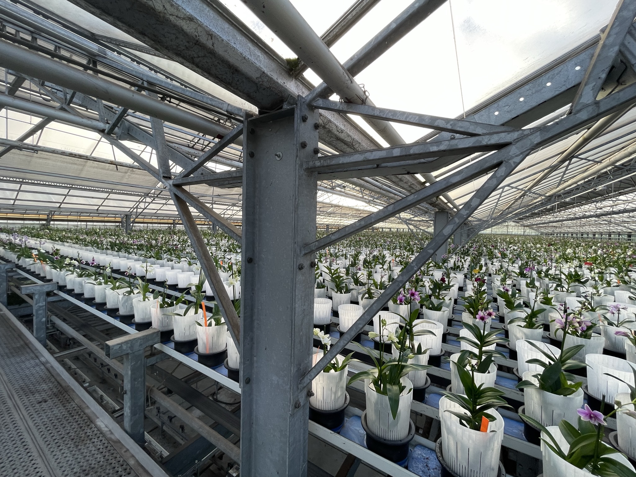 Breedkap kas 12,80 m 4.953 m²