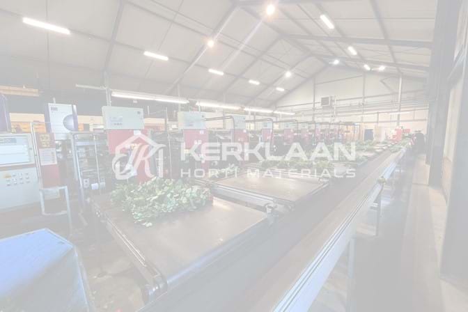 Aweta rozensorteermachine incl. IRISS sorteer systeem & sealer