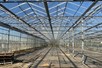 Venlo greenhouse 6,40 m 4.800 m²