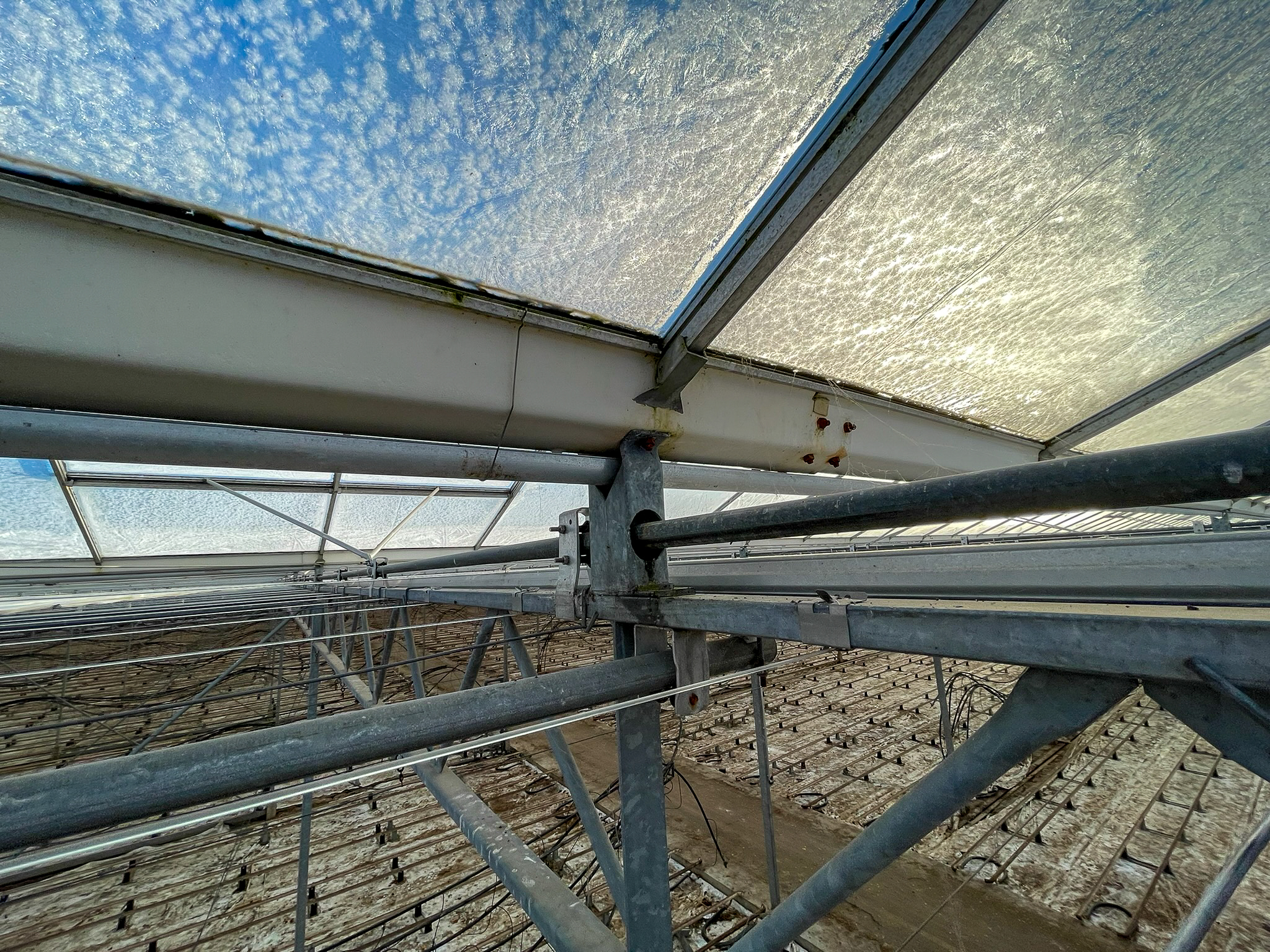 Venlo kas 8,00 m 22.248 m²