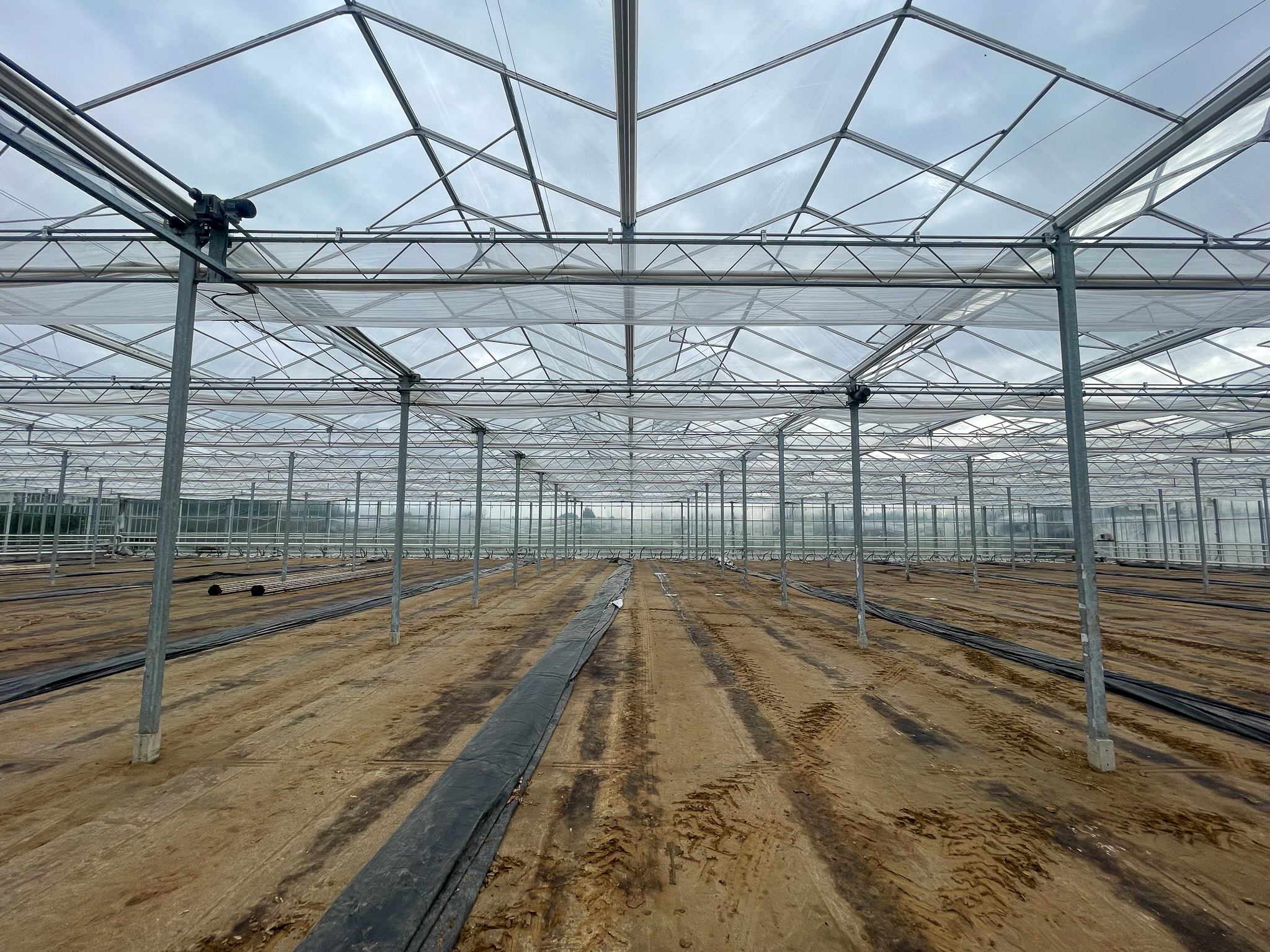 Venlo greenhouse 8,00 m 9.918 m²