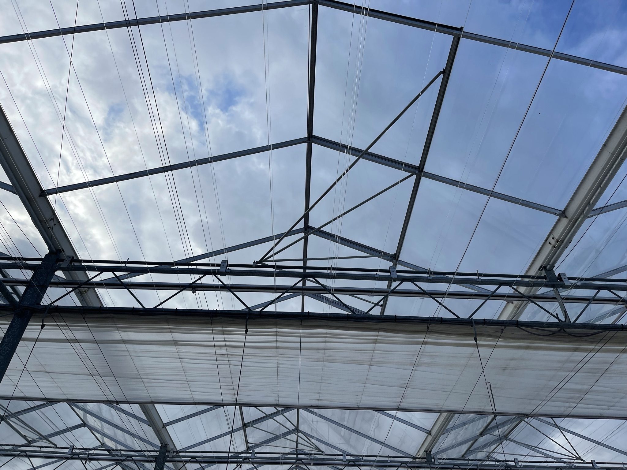 Venlo greenhouse 8,00 m 9.936 m²