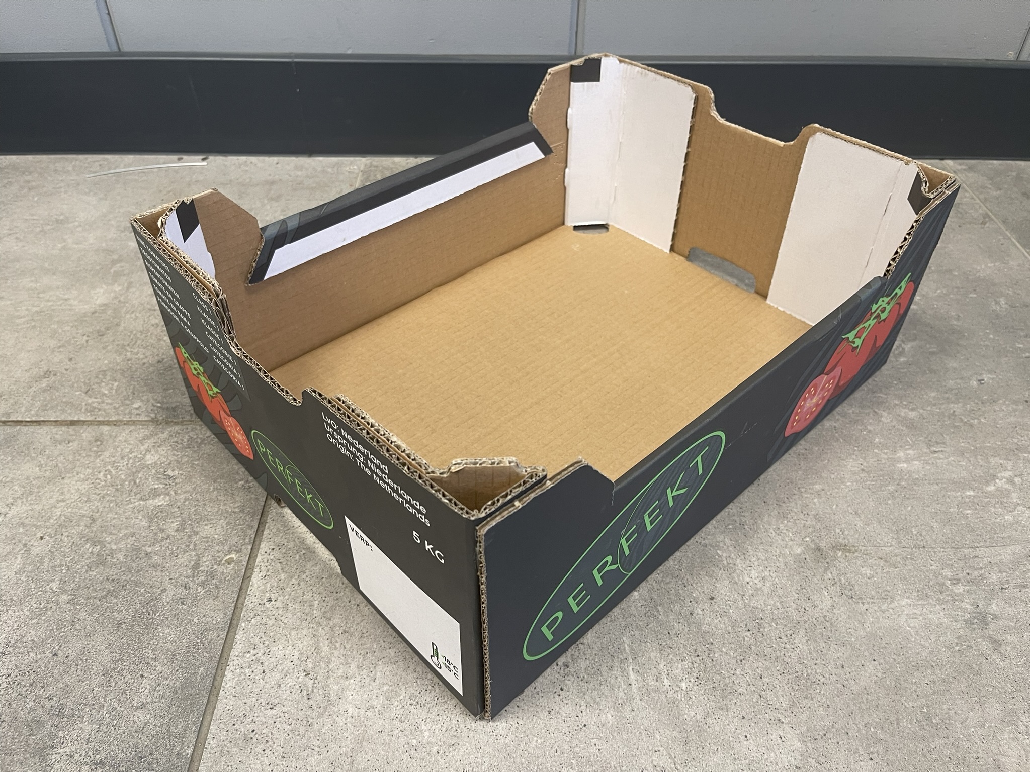 Complete vine tomato processing system