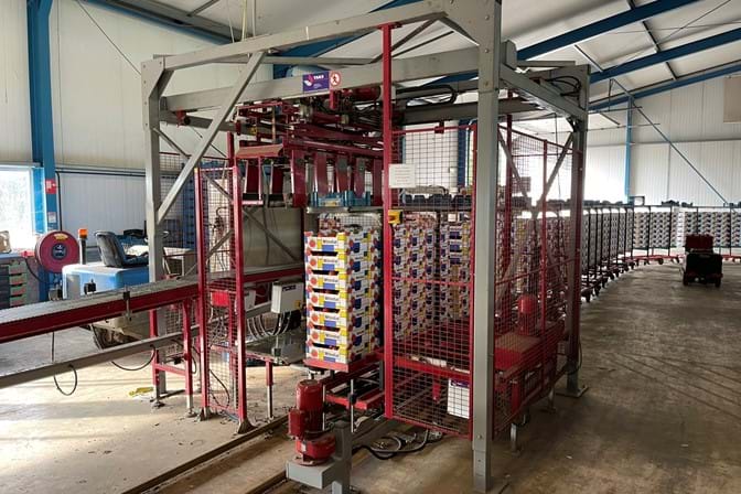 Complete Taks TTS vine tomato processing system + palletizing installation