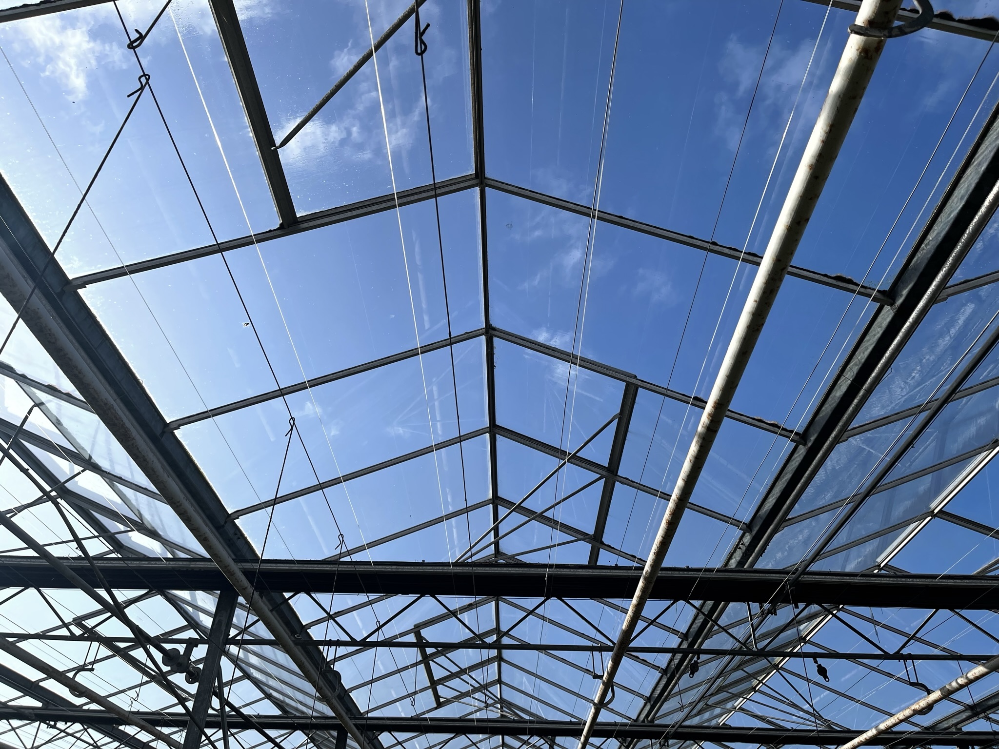 Venlo greenhouse 6,40 m 15.514 m²