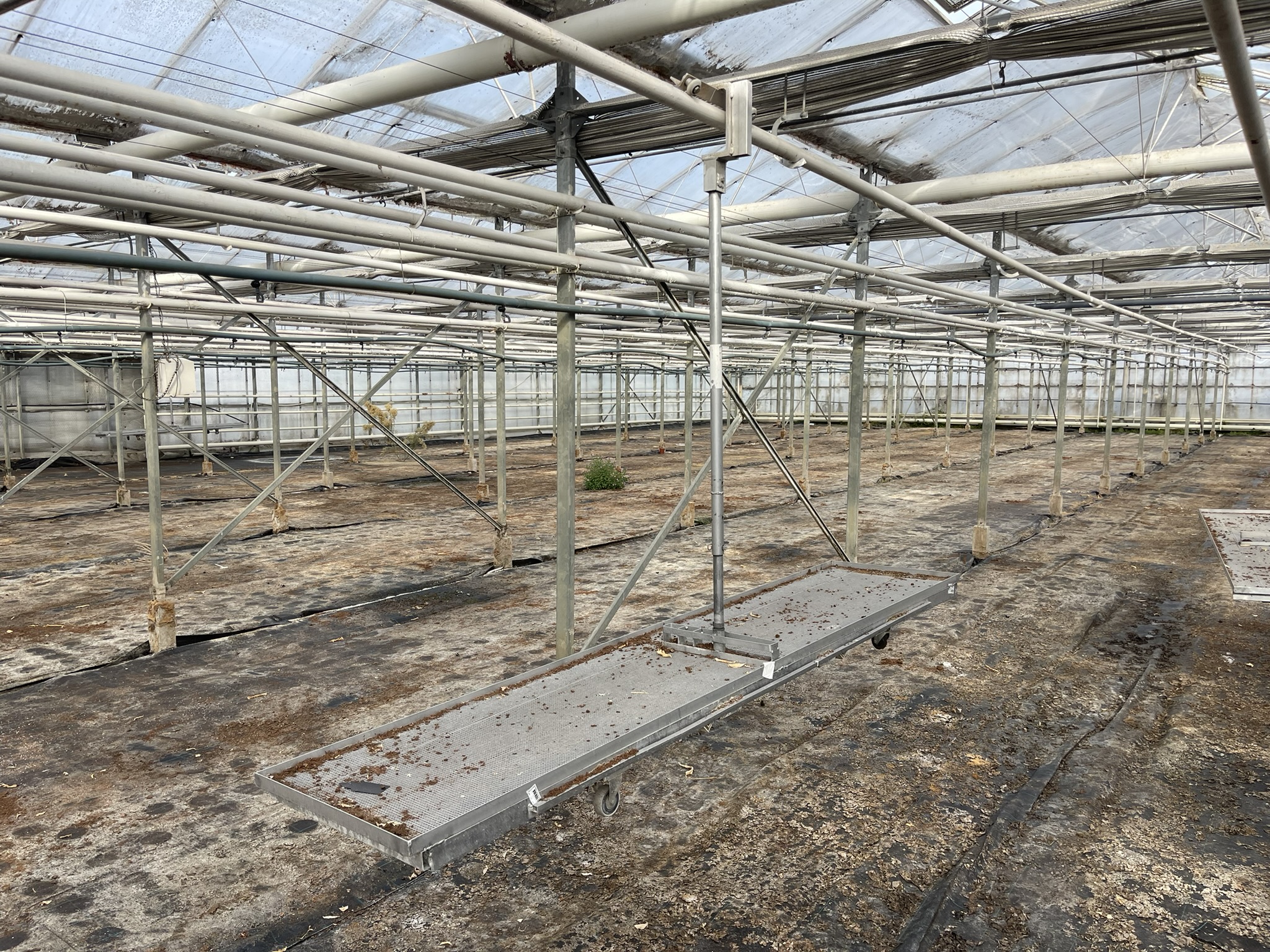 Over crop hanging trolleys 1650x480 mm