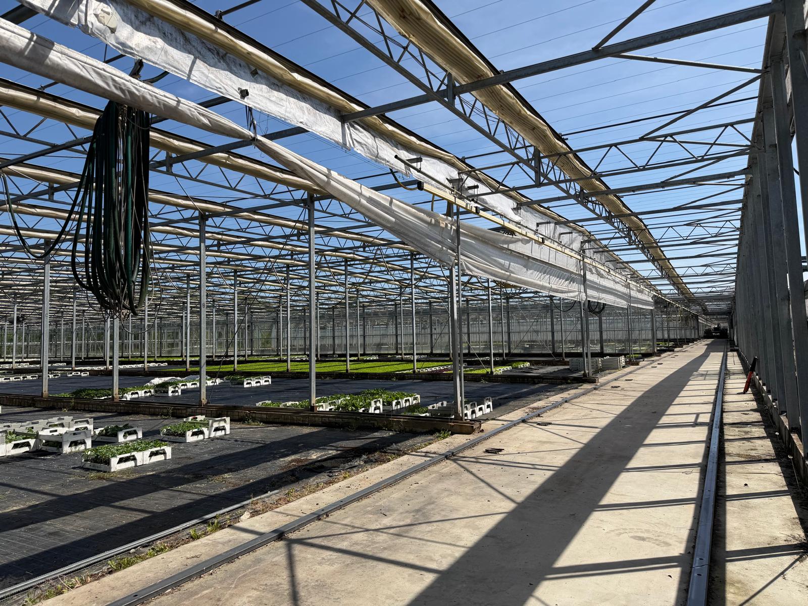 Shading greenhouse 7.517 m²