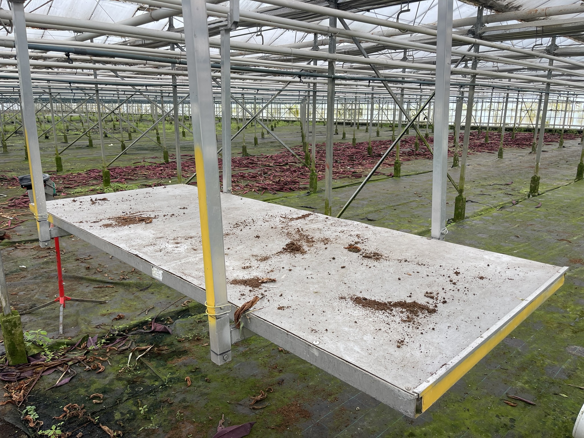 Over crop hanging trolleys 2500x1000 mm