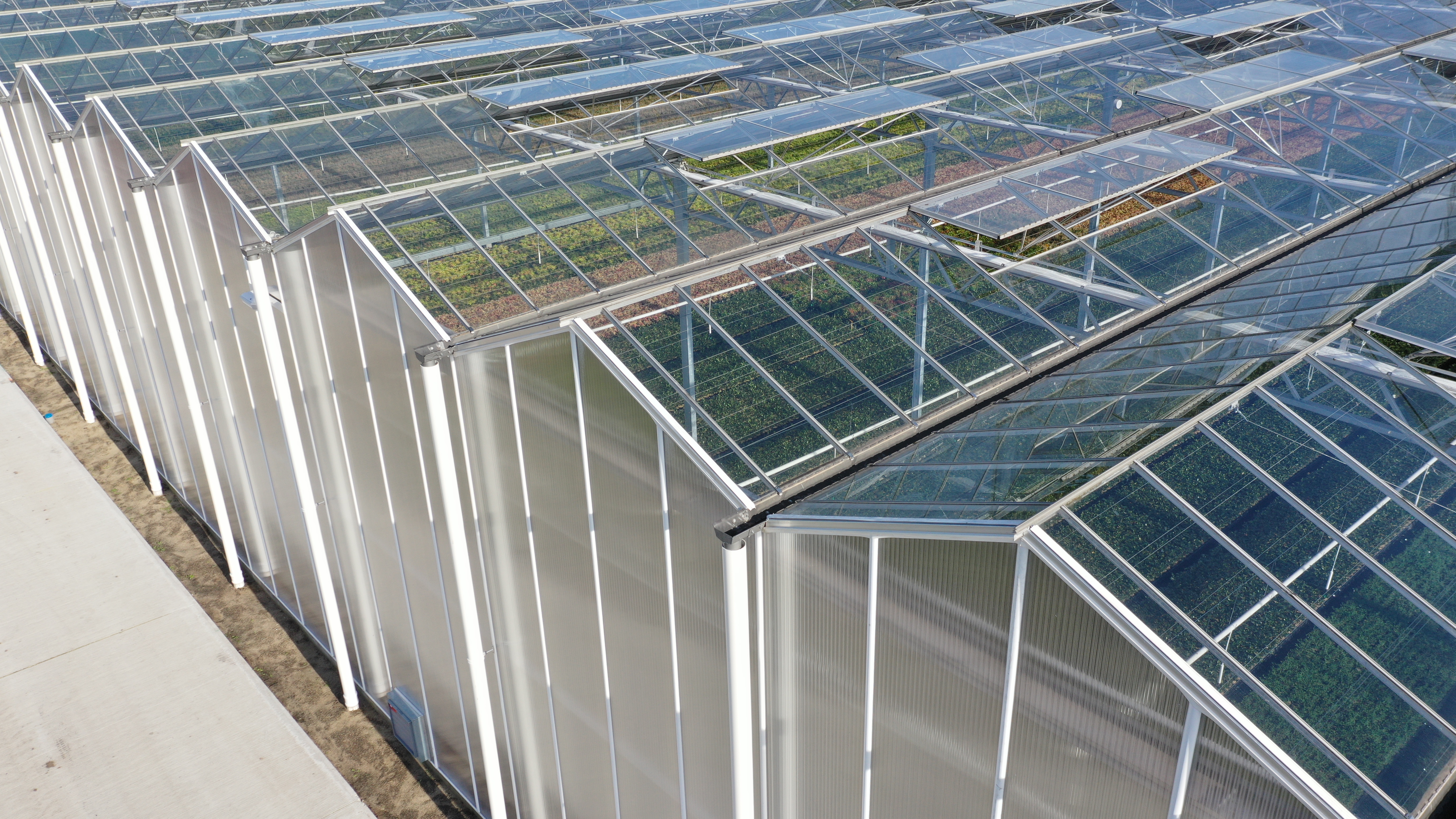 Venlo greenhouse 12,80 m 9.331 m²