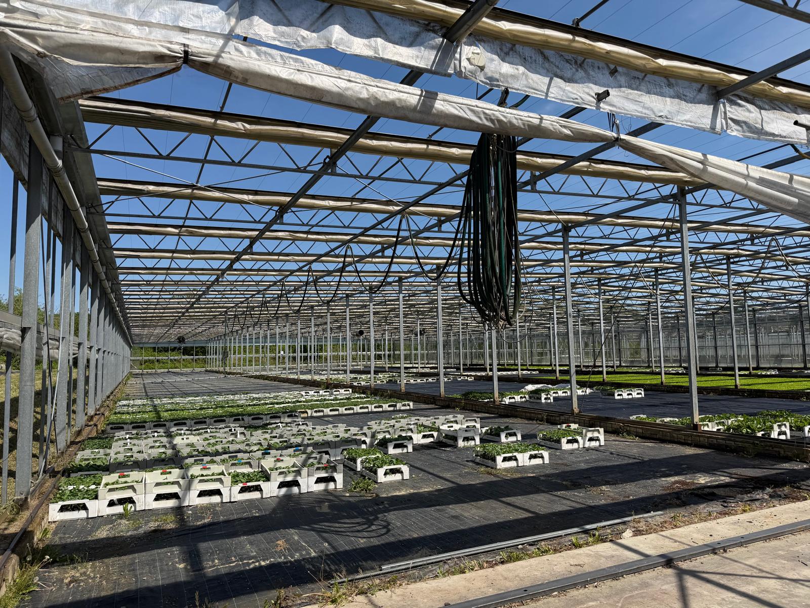 Shading greenhouse 7.517 m²