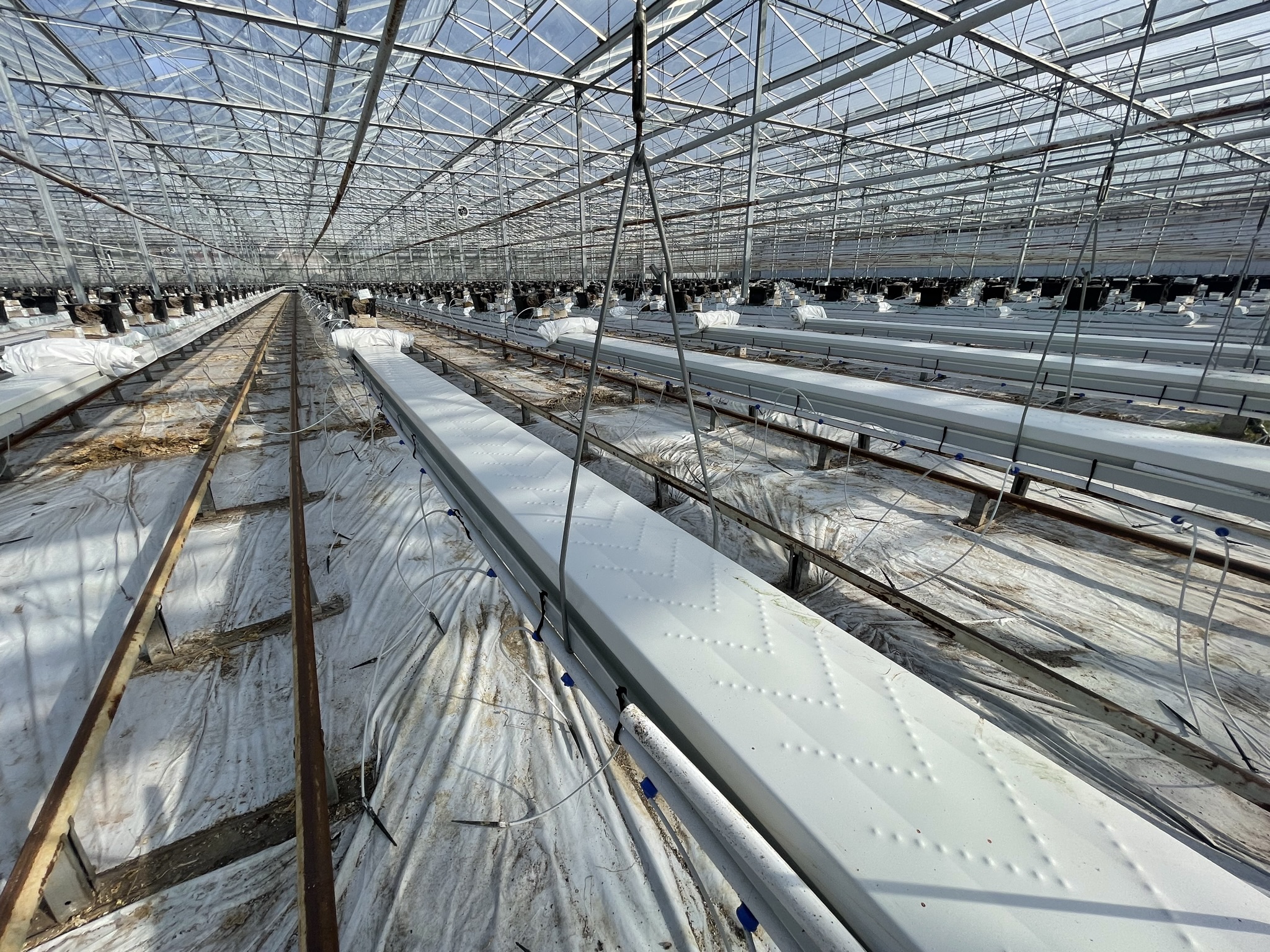 Cultivation gutters suspension hooks