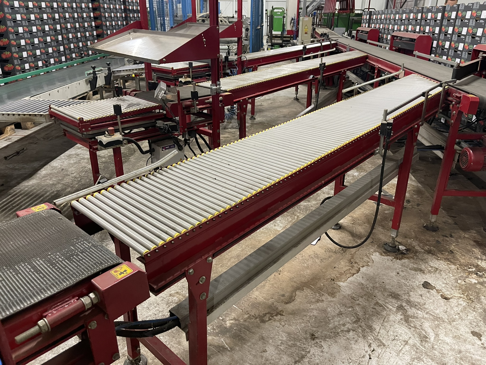 Complete Taks TTS vine tomato processing system