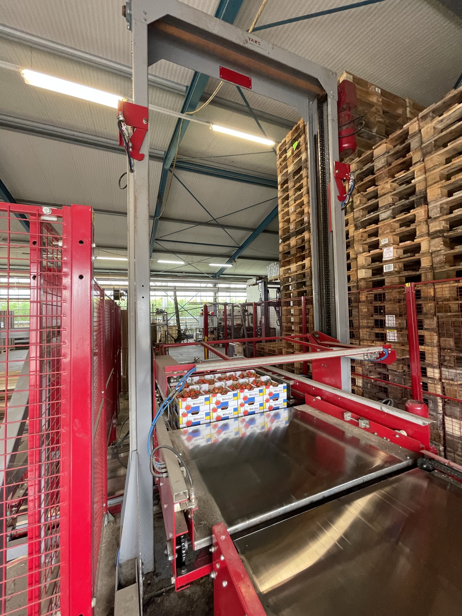 Complete Taks TTS vine tomato processing system + palletizing installation