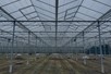 Venlo greenhouse 8,00 m 18.276 m²