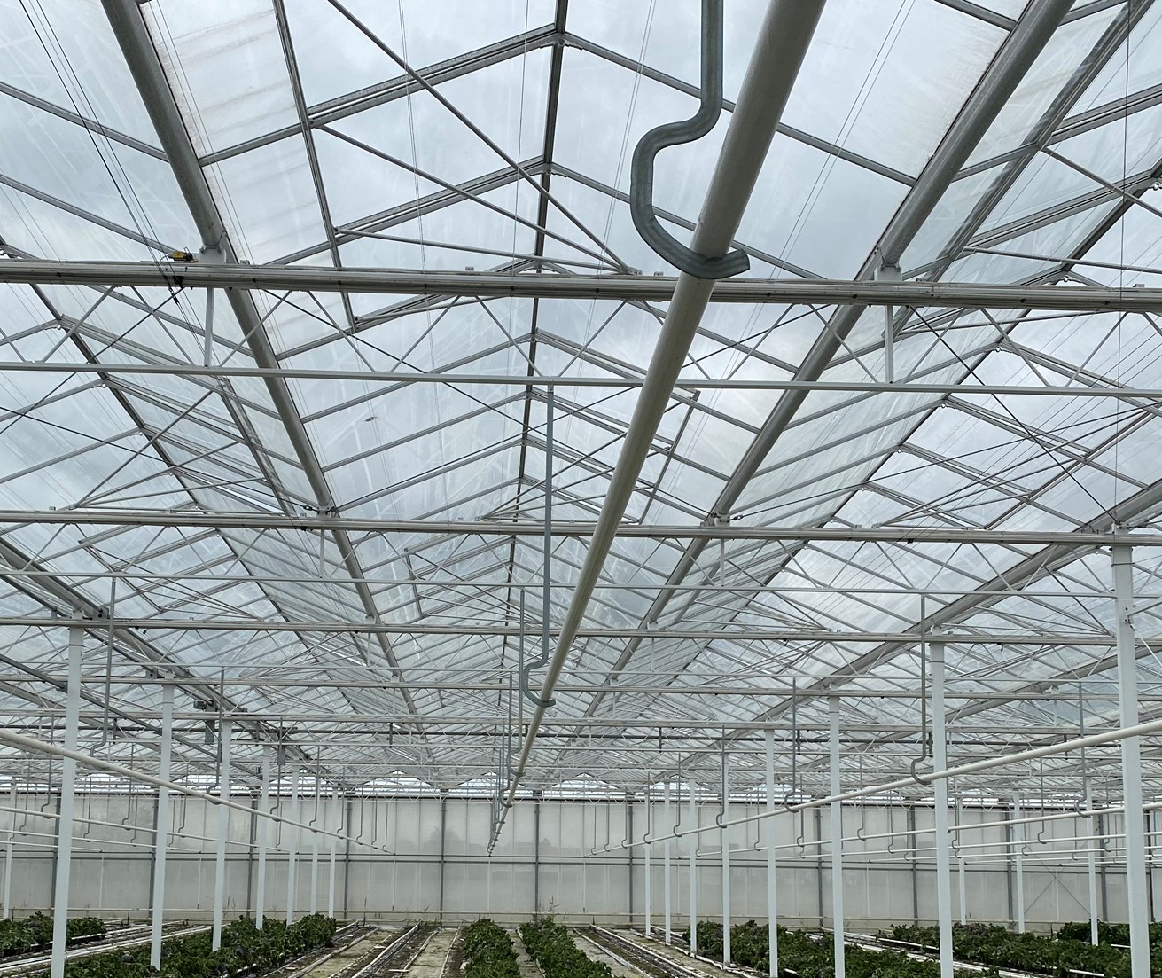 Venlo greenhouse 9,60 m 11.794 m²