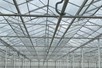 Venlo greenhouse 9,60 m 11.794 m²